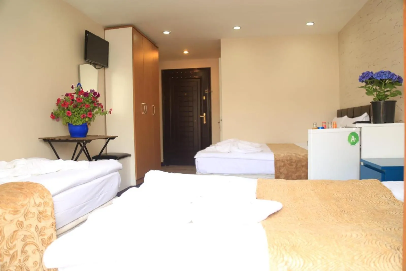 Bed in holiday family apart