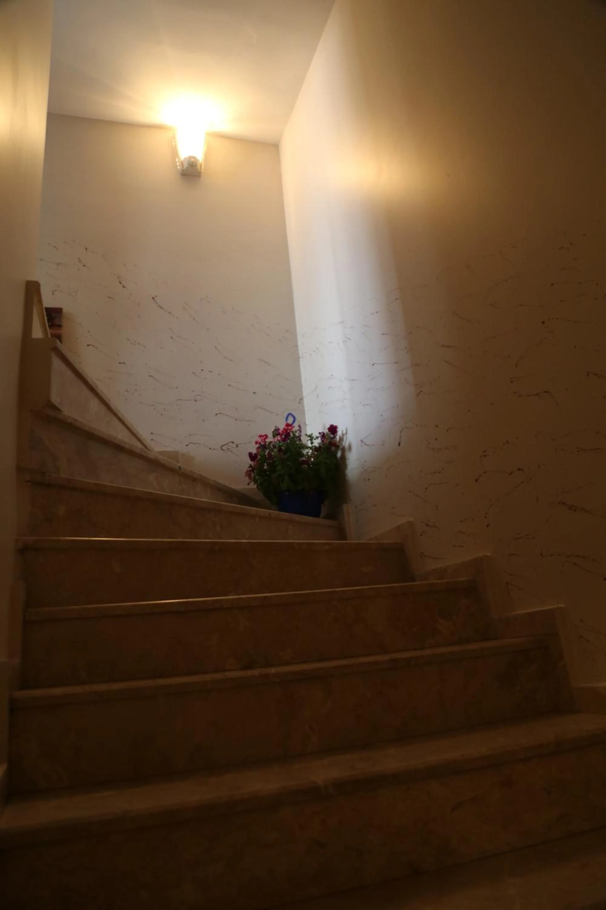 Area and facilities in holiday family apart