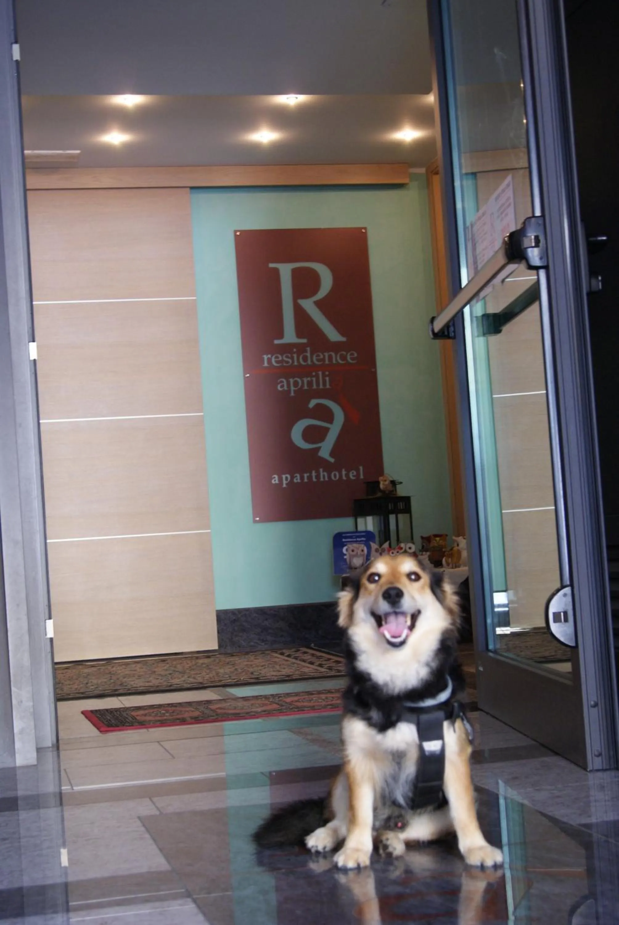 Pets in Residence Aprilia