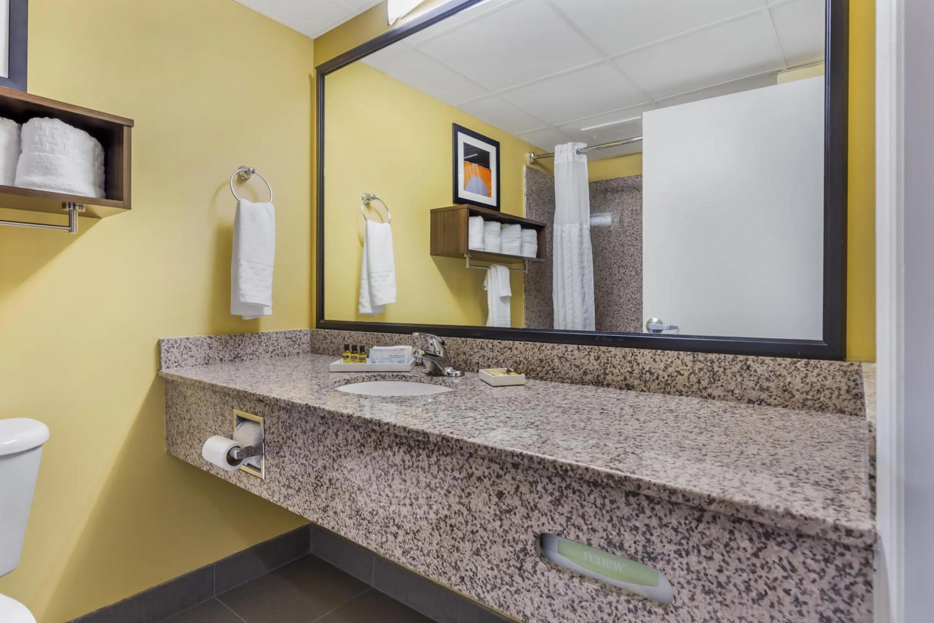 Bathroom in Best Western Plus Suites Greenville