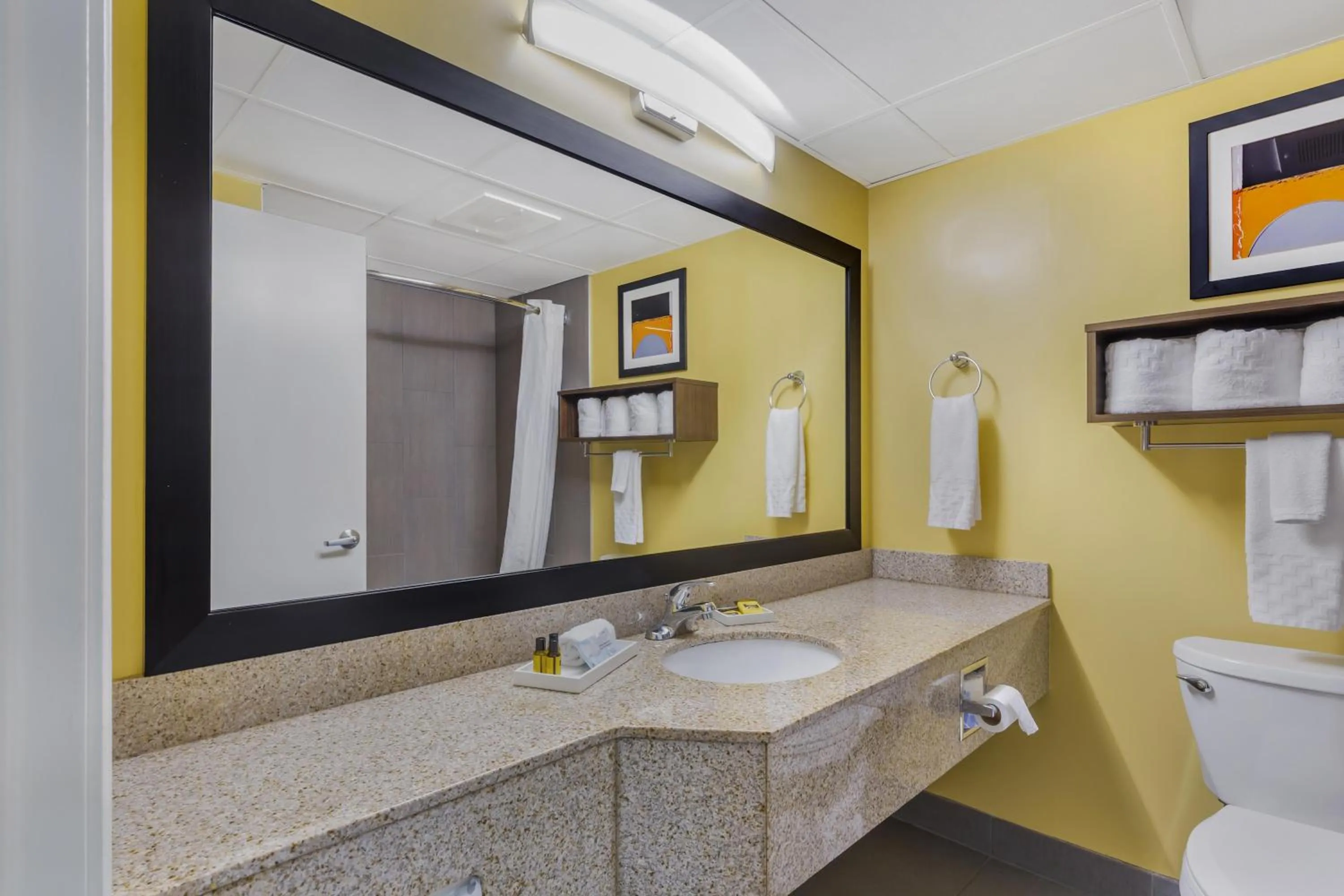 Bathroom in Best Western Plus Suites Greenville