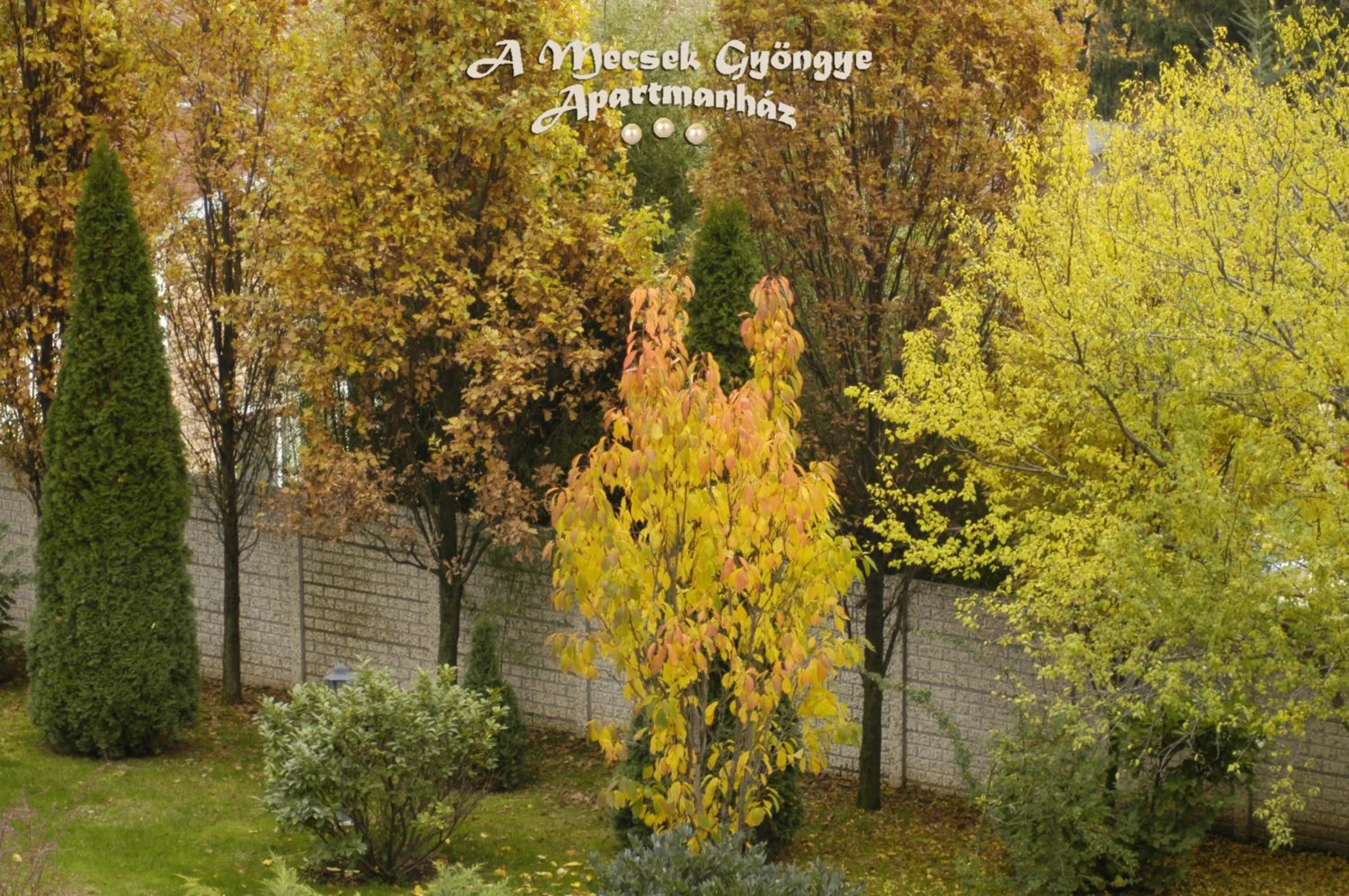 Garden in A Mecsek Gyöngye Apartmanhaz