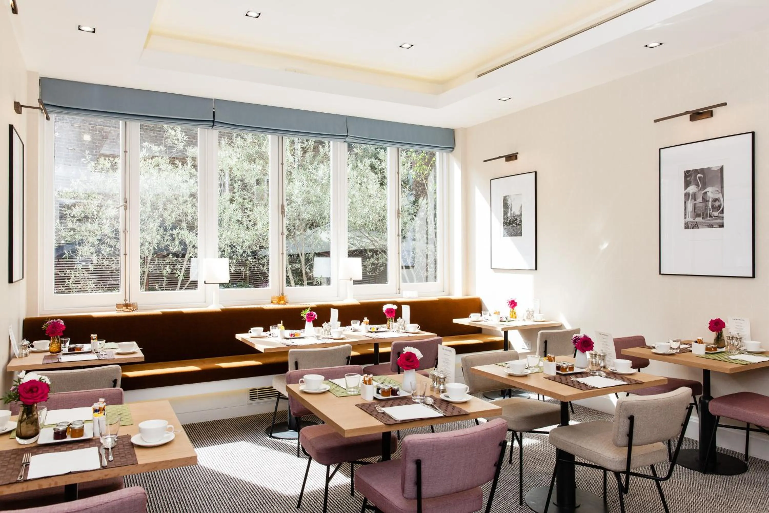 Restaurant/places to eat in The Rockwell