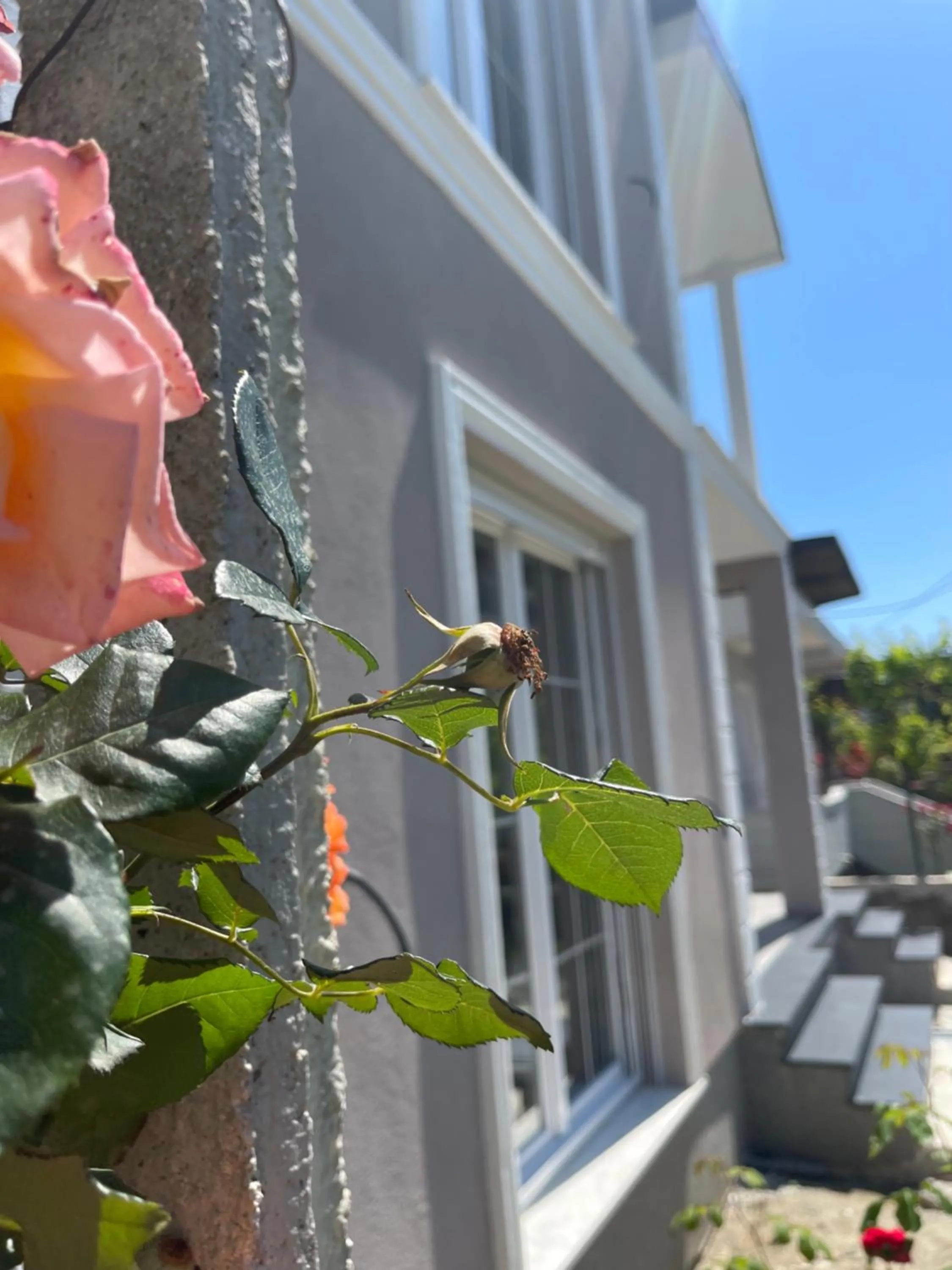 Property building in Villa Ajla
