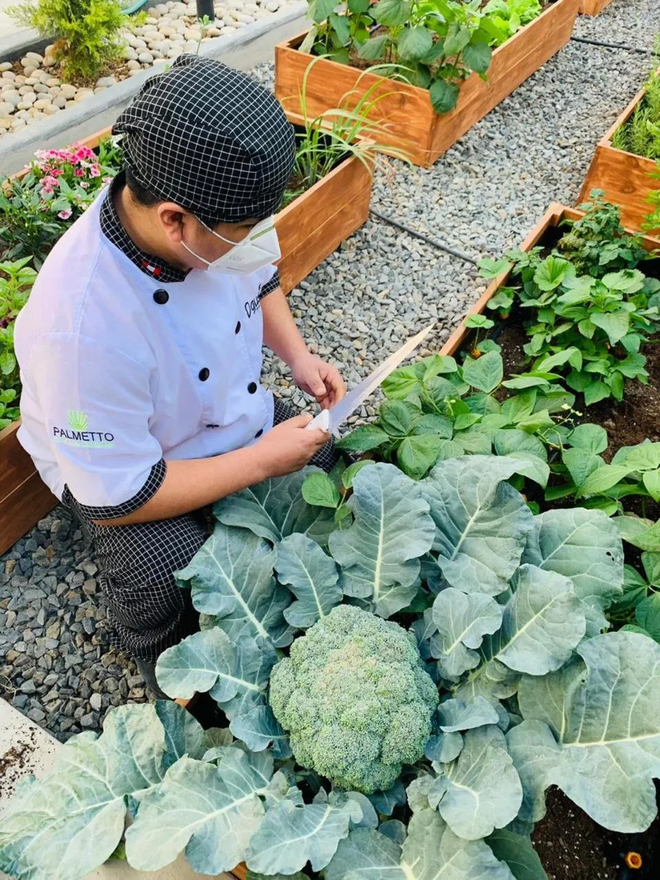 Garden in Palmetto Hotel Business San Borja