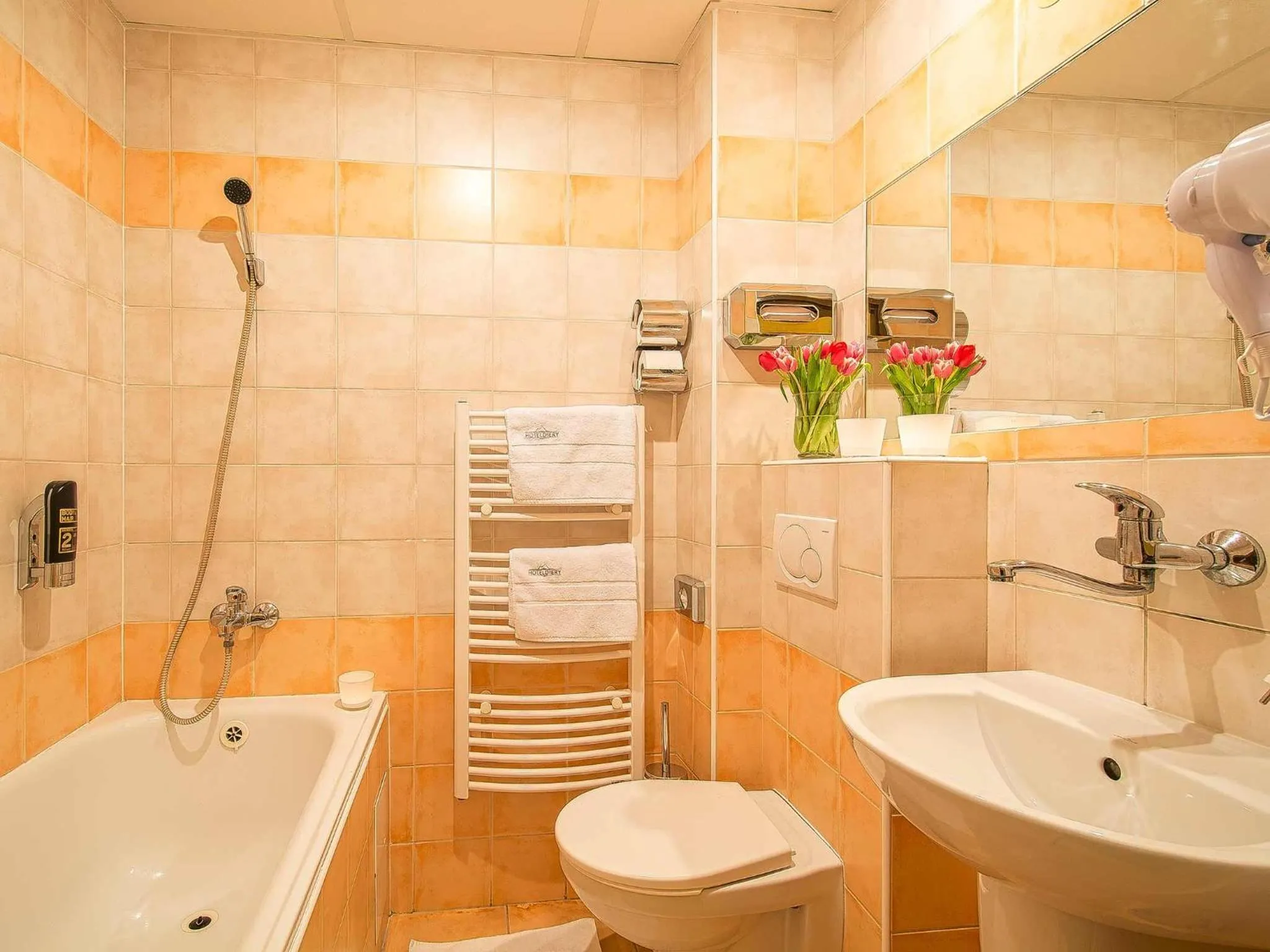 Toilet, Bathroom in Hotel Diery