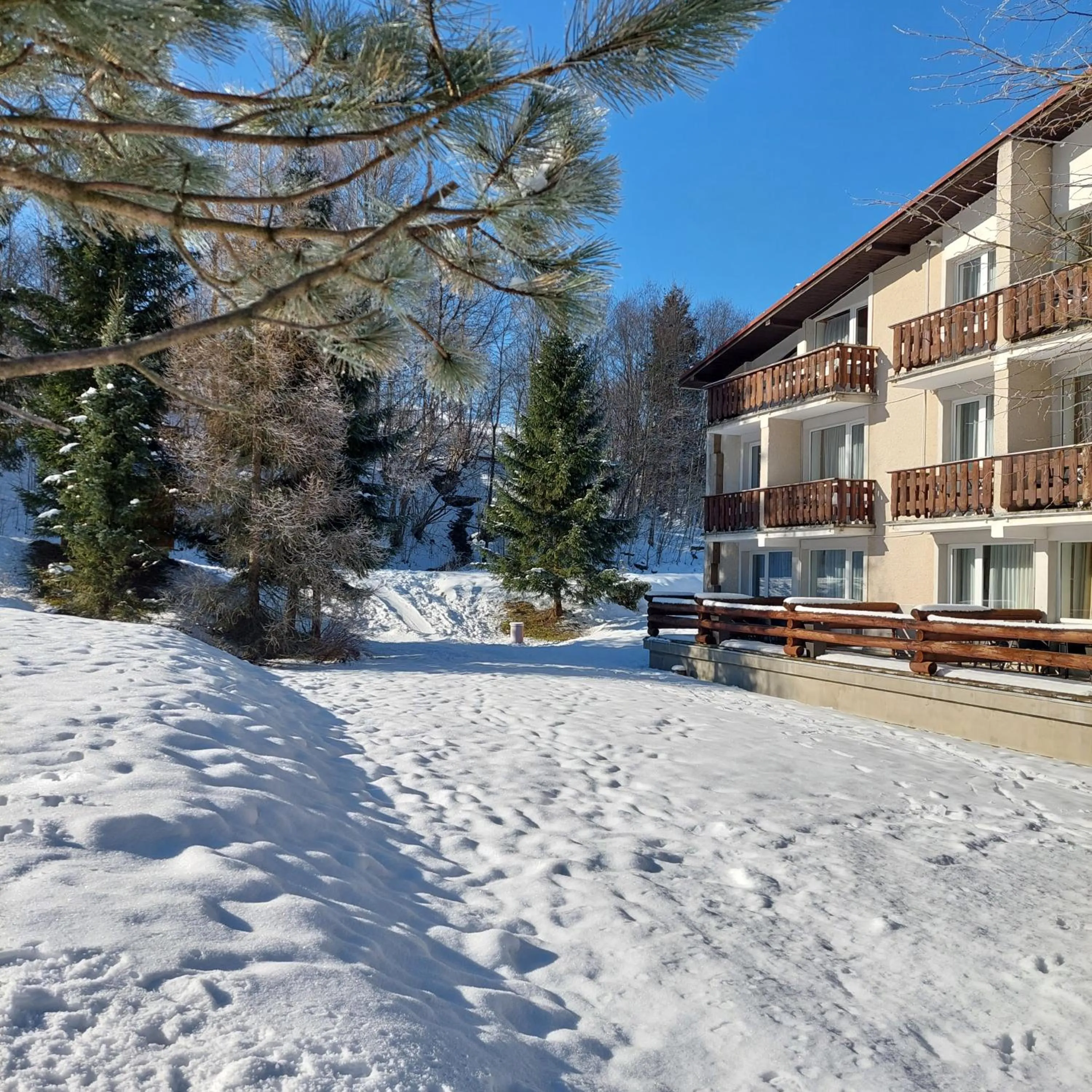 Property building, Winter in Hotel Diery