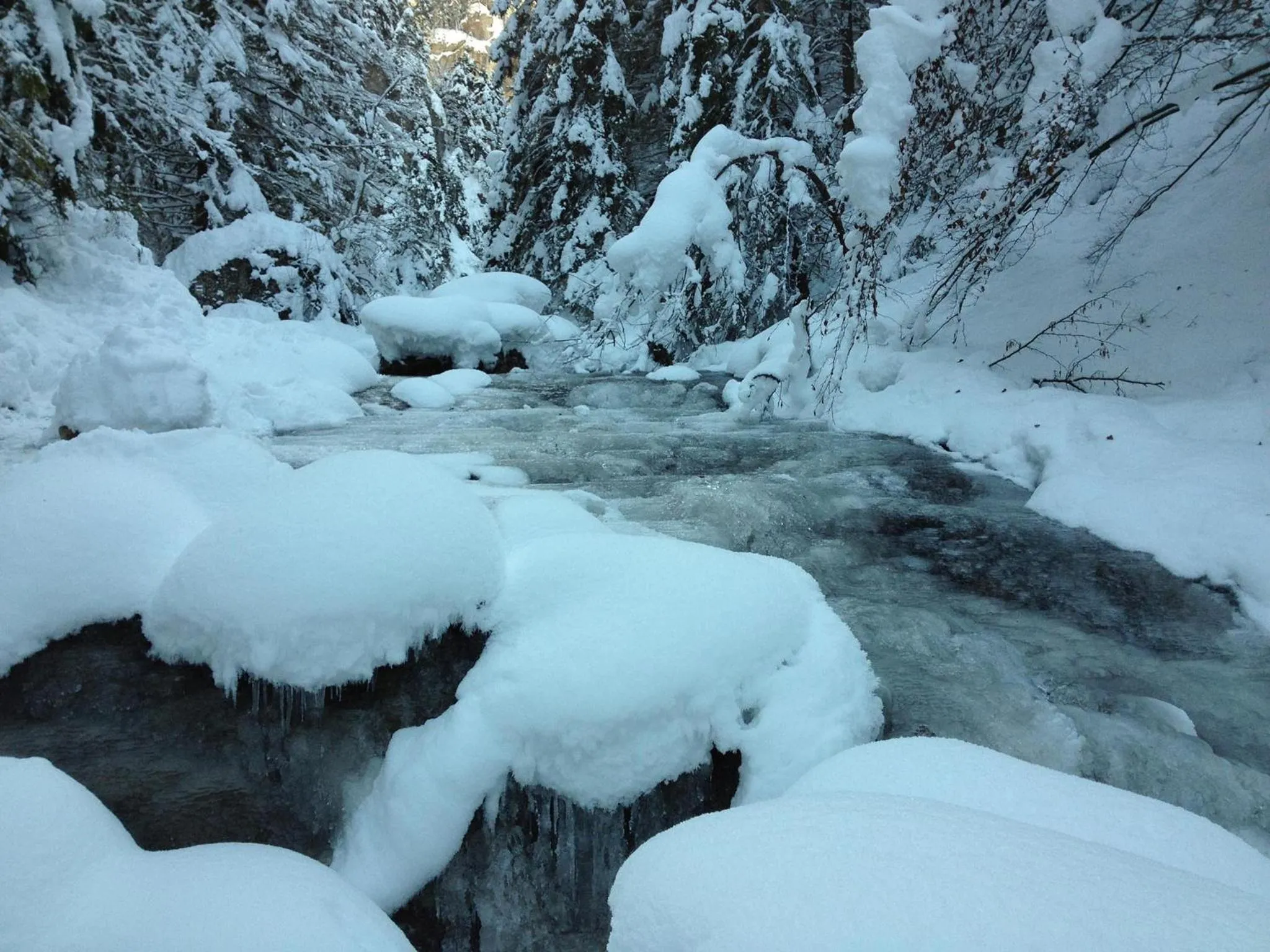 Natural landscape, Winter in Hotel Diery
