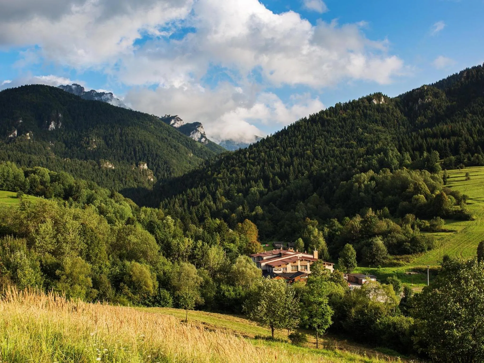 Summer, Natural Landscape in Hotel Diery