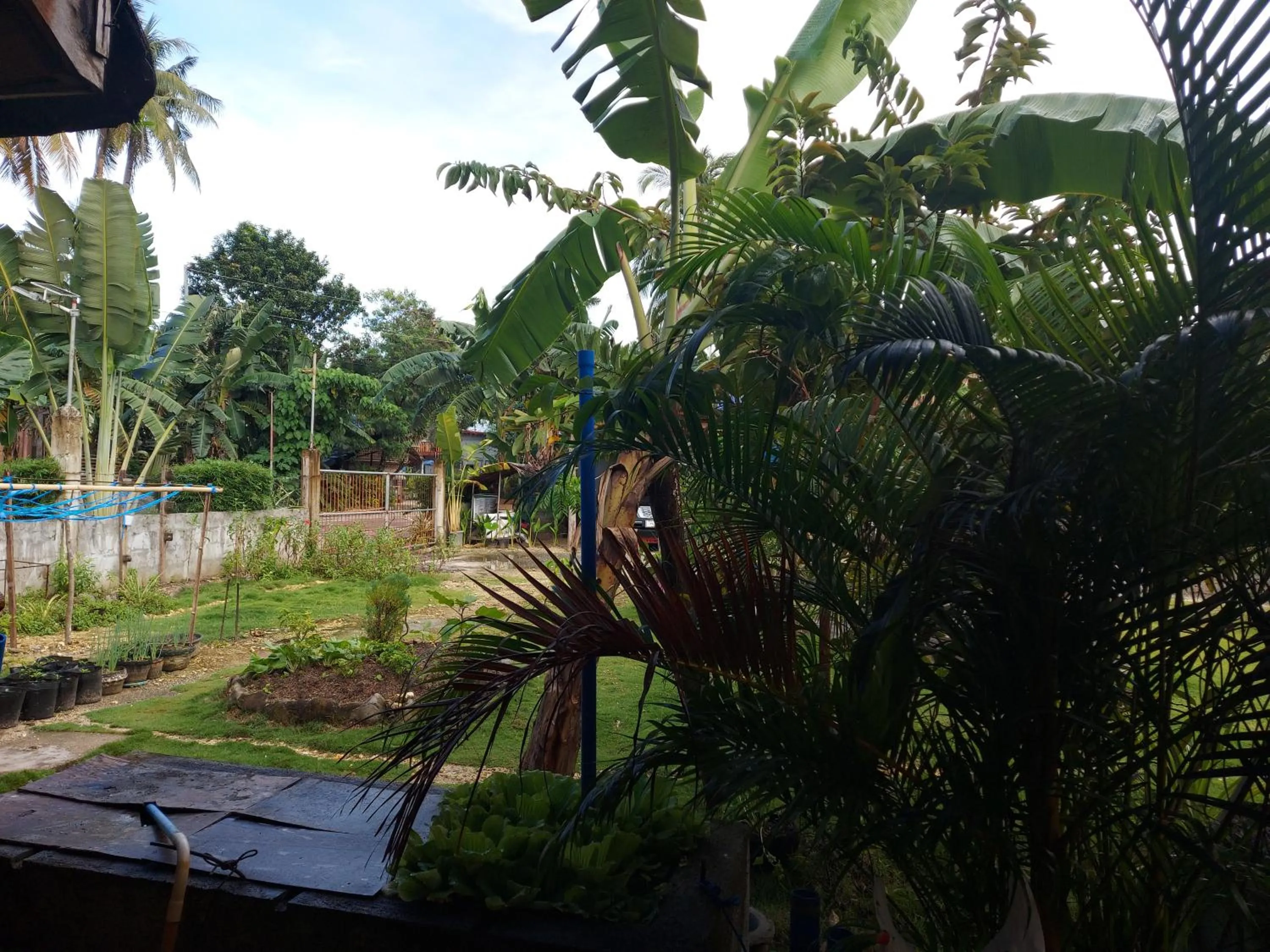 Garden in Gardenview Homestay Siargao
