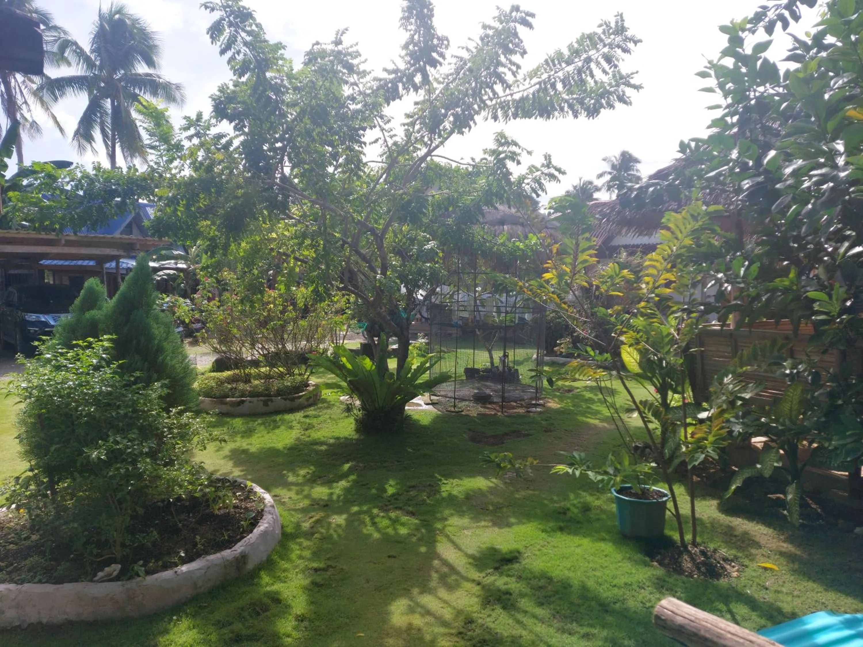 Garden view in Gardenview Homestay Siargao