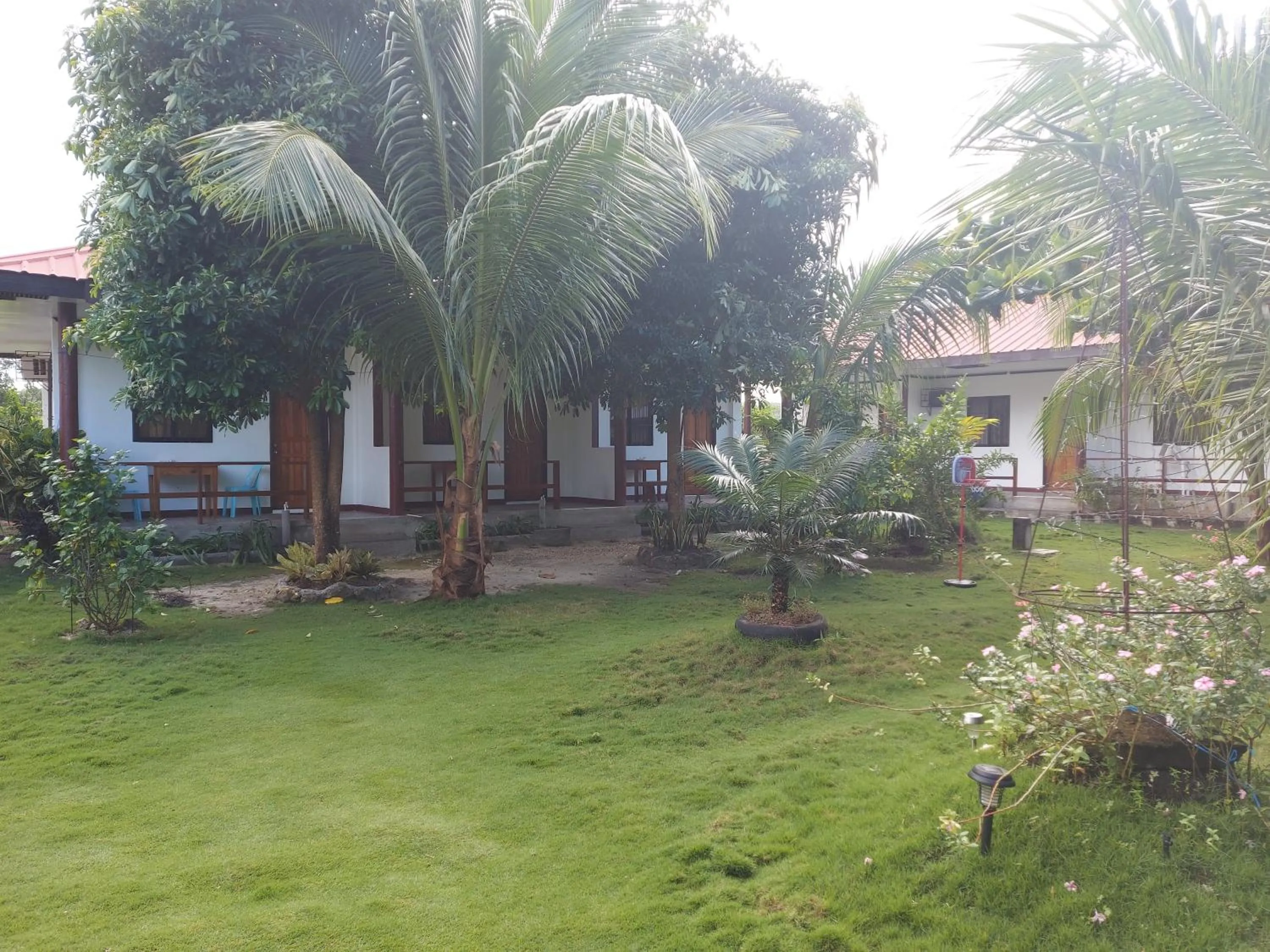 Garden in Gardenview Homestay Siargao