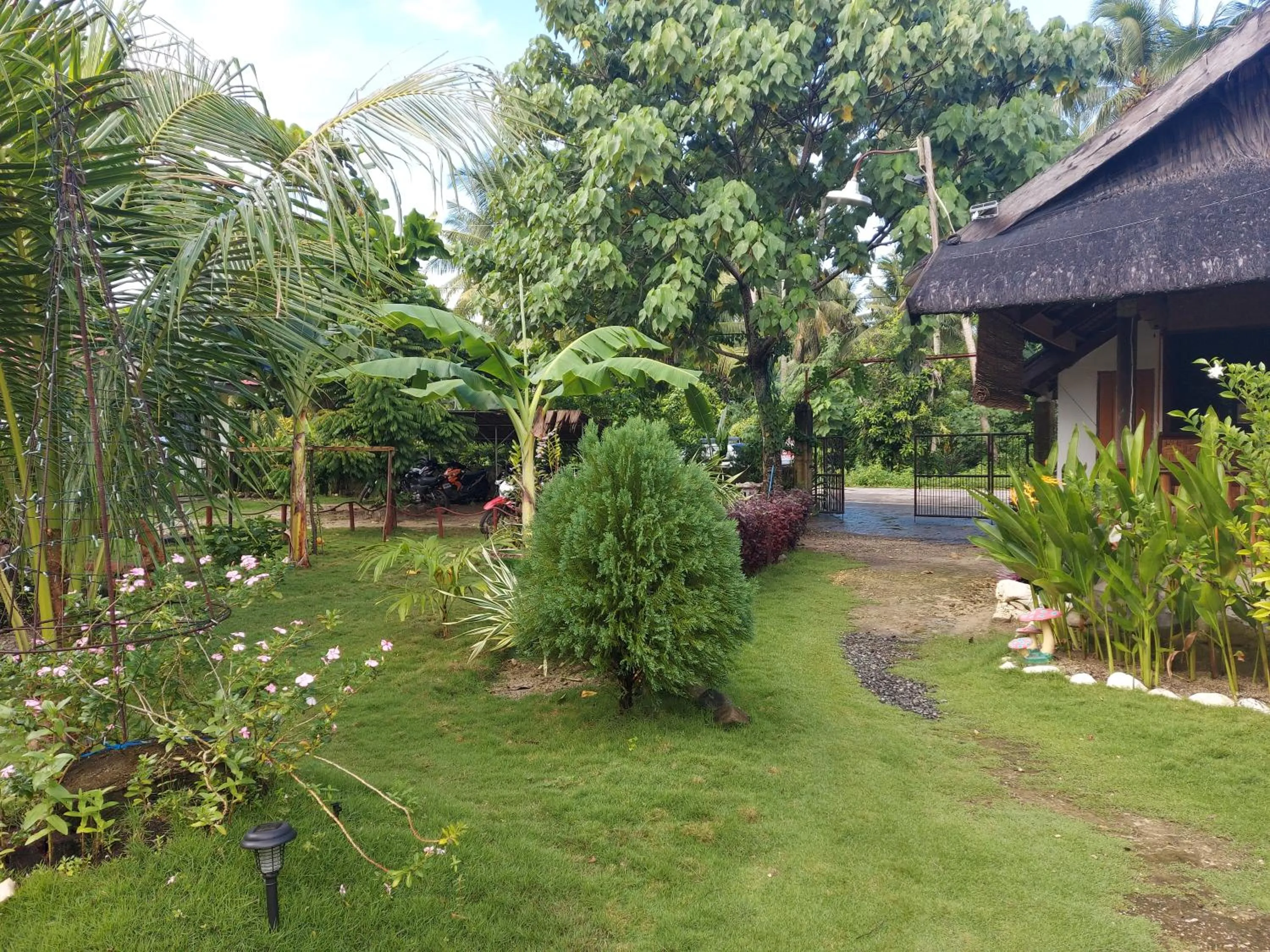 Garden in Gardenview Homestay Siargao