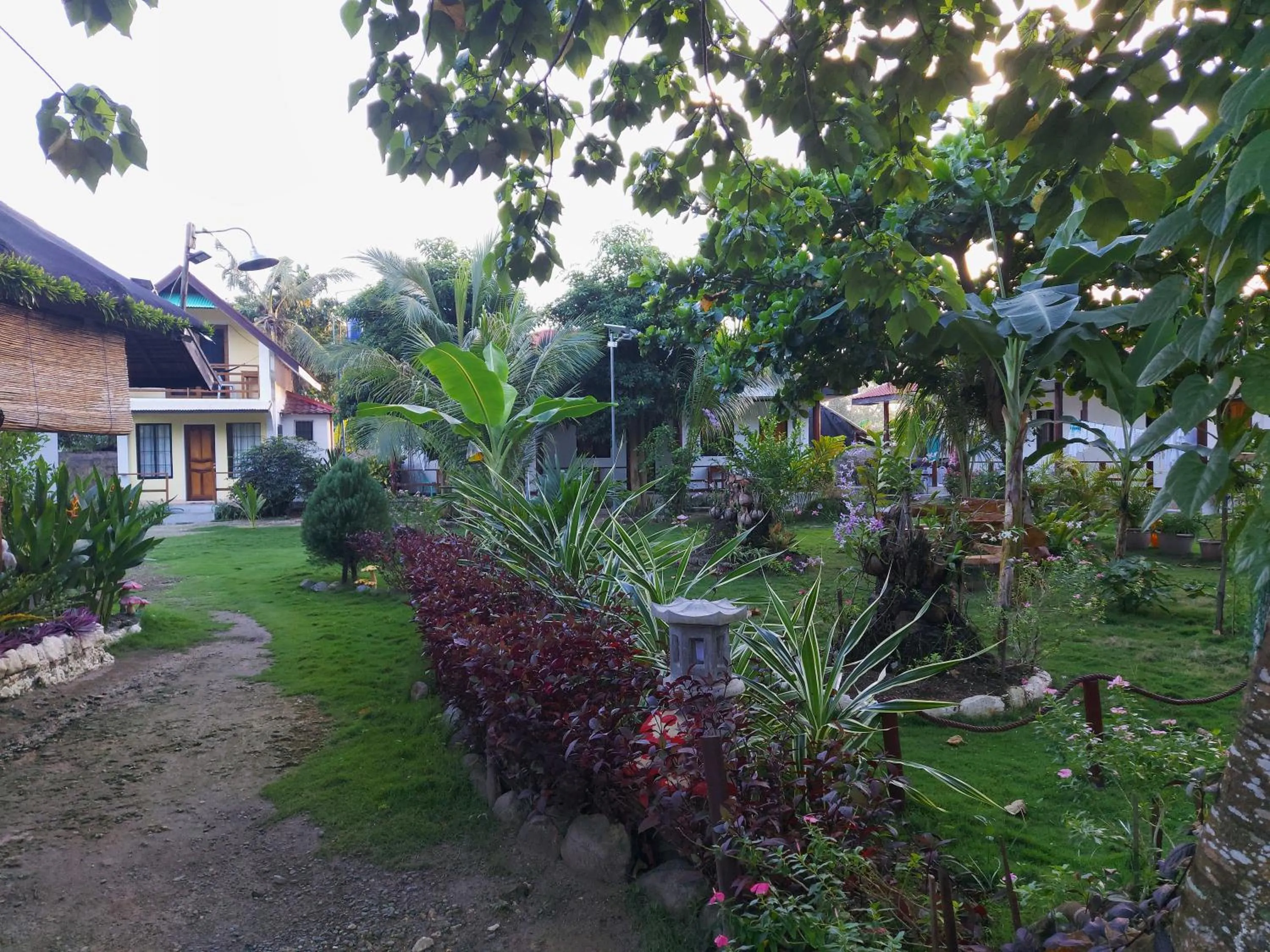 Garden in Gardenview Homestay Siargao