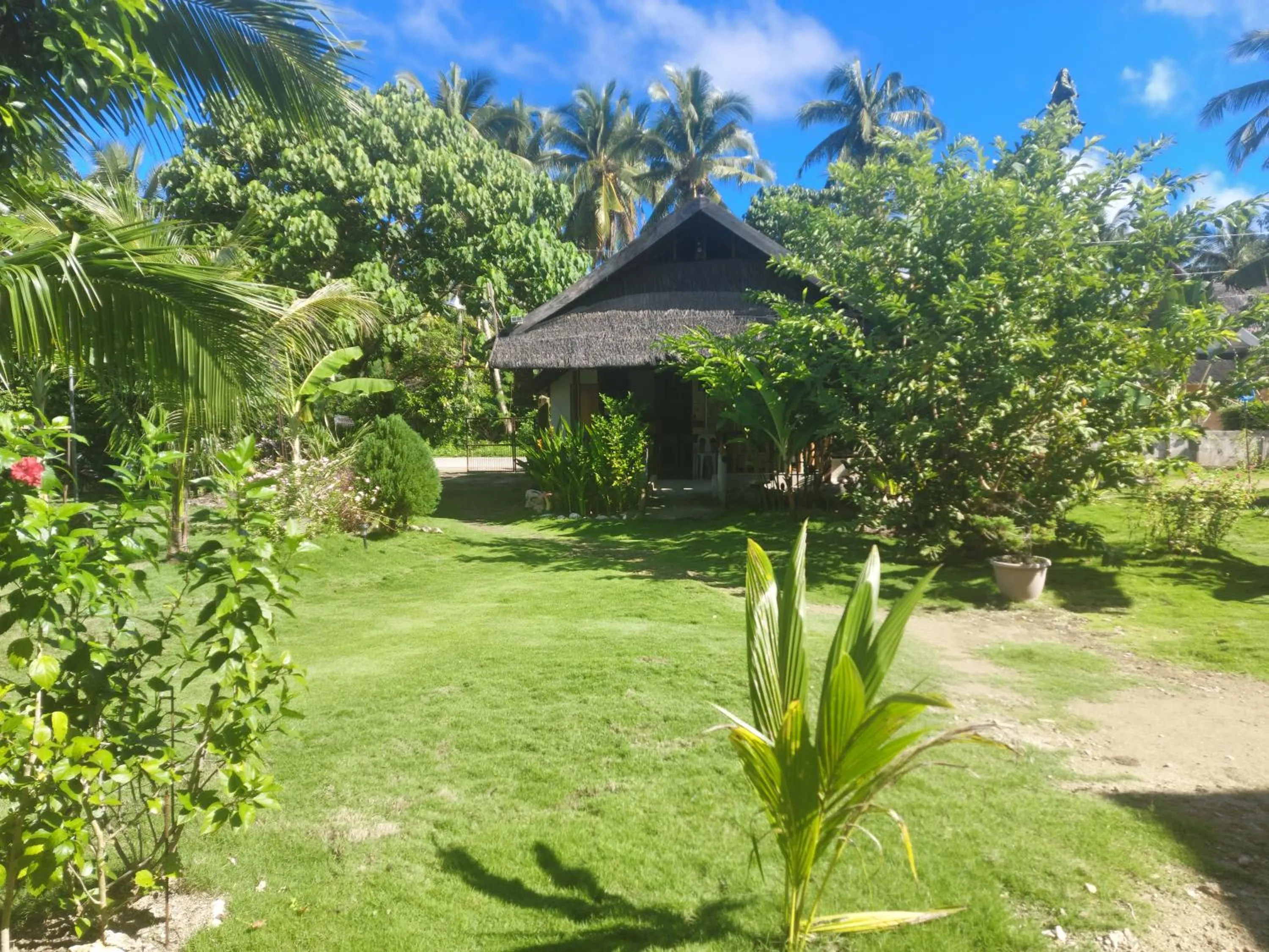 Garden in Gardenview Homestay Siargao