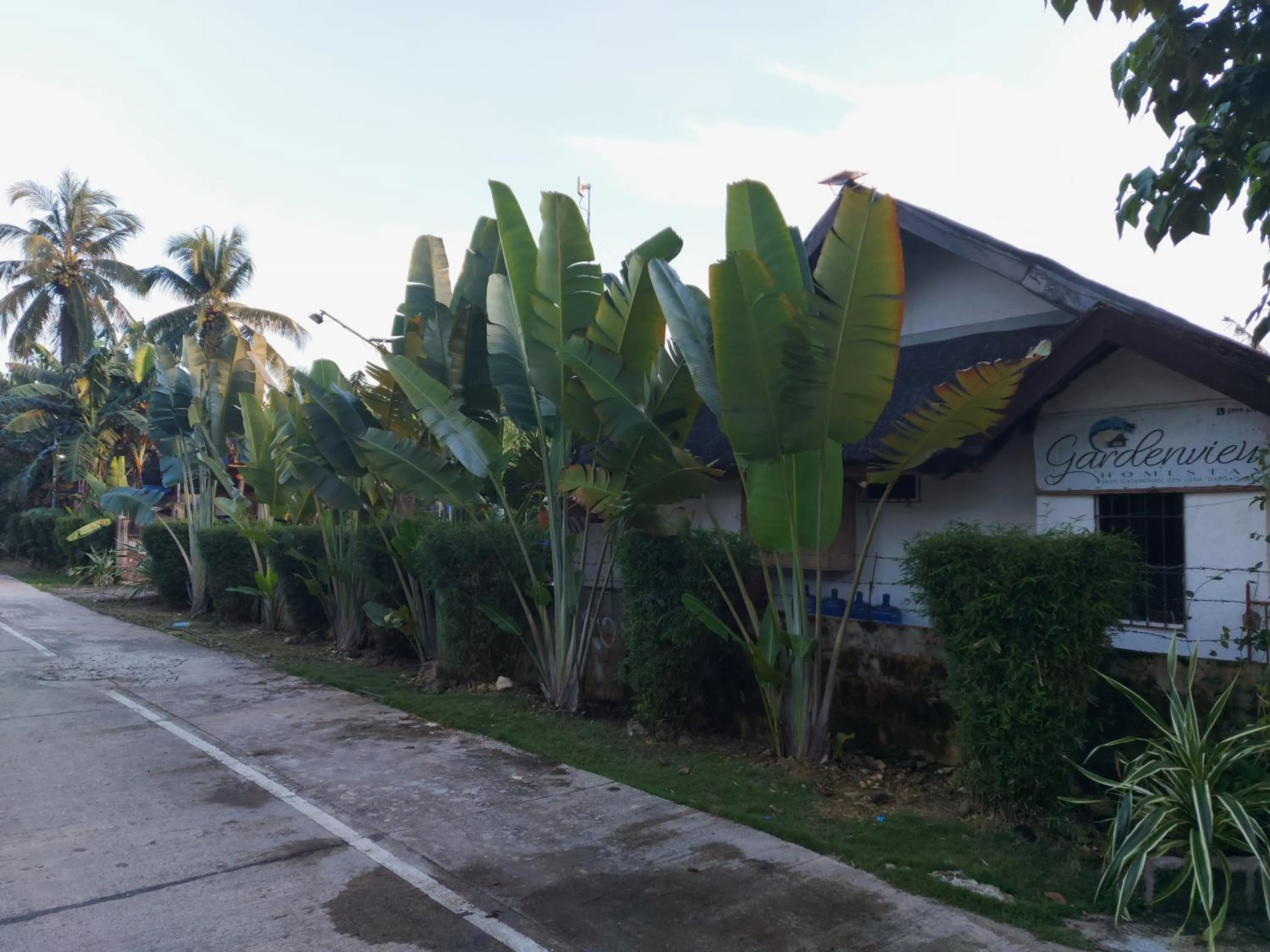 Property building in Gardenview Homestay Siargao