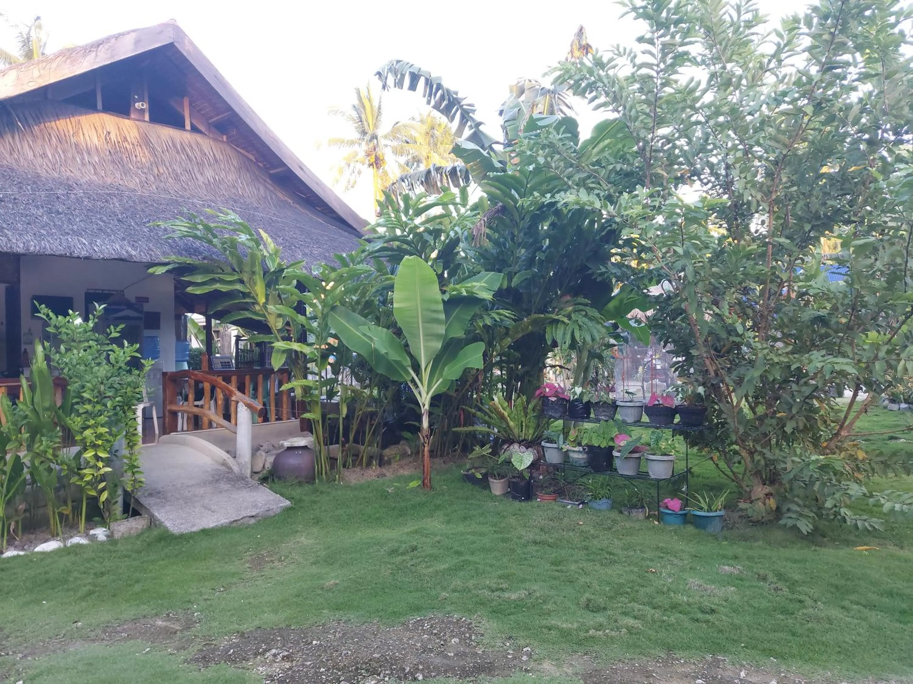Garden in Gardenview Homestay Siargao