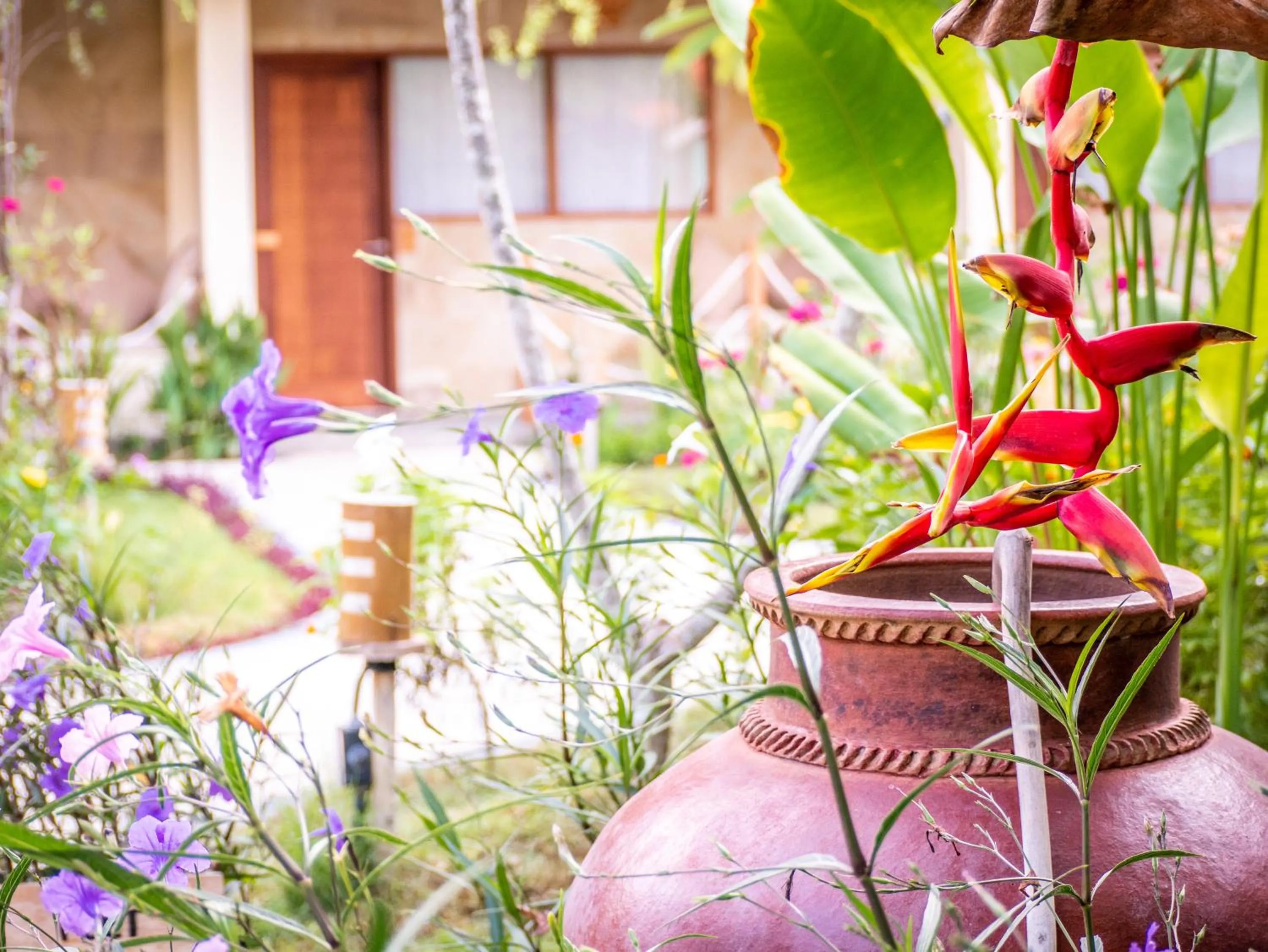 Patio in Mango Lodge