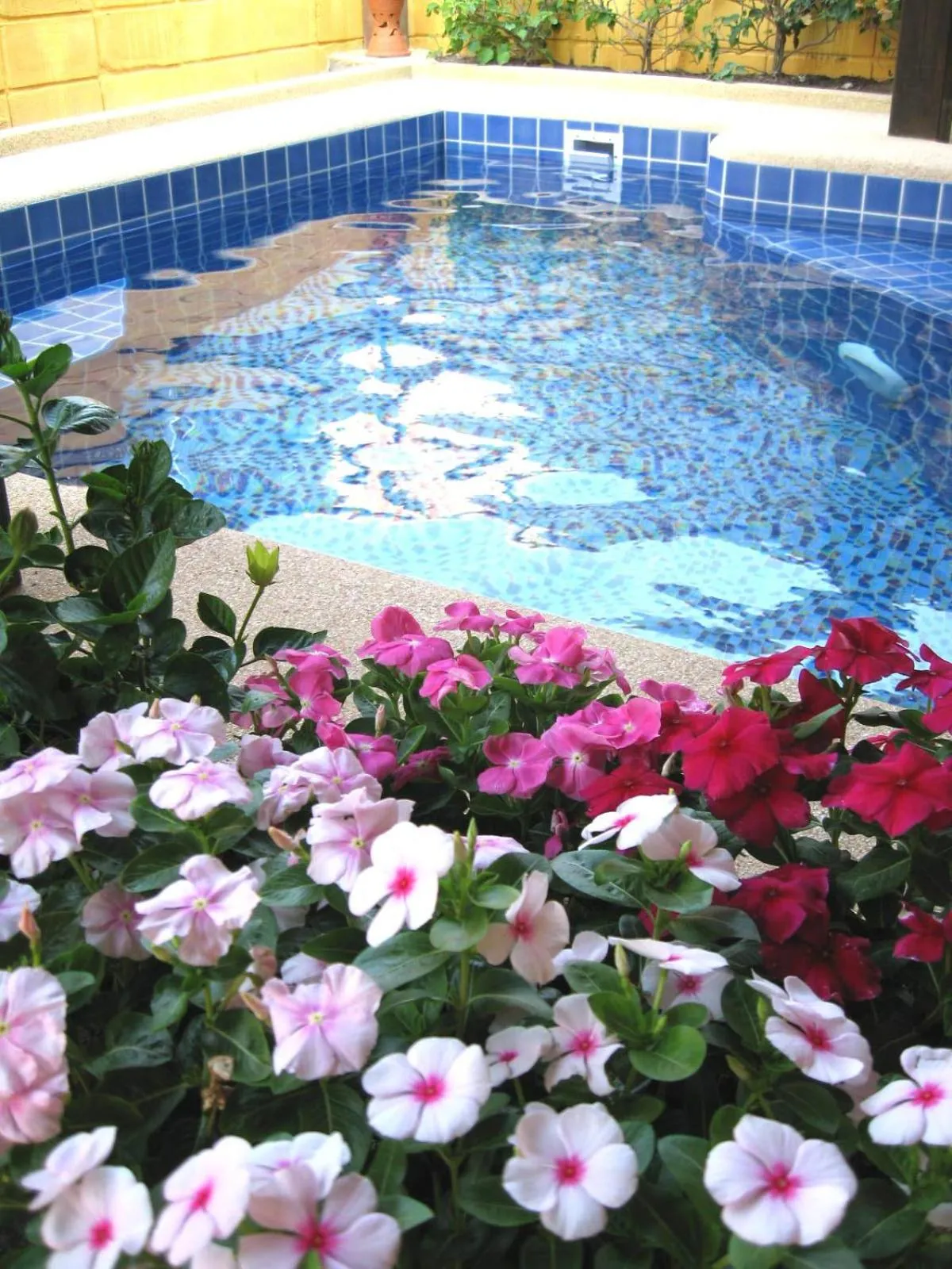 Swimming pool in BTC Hua Hin Home managed by BTC Boutique Resort