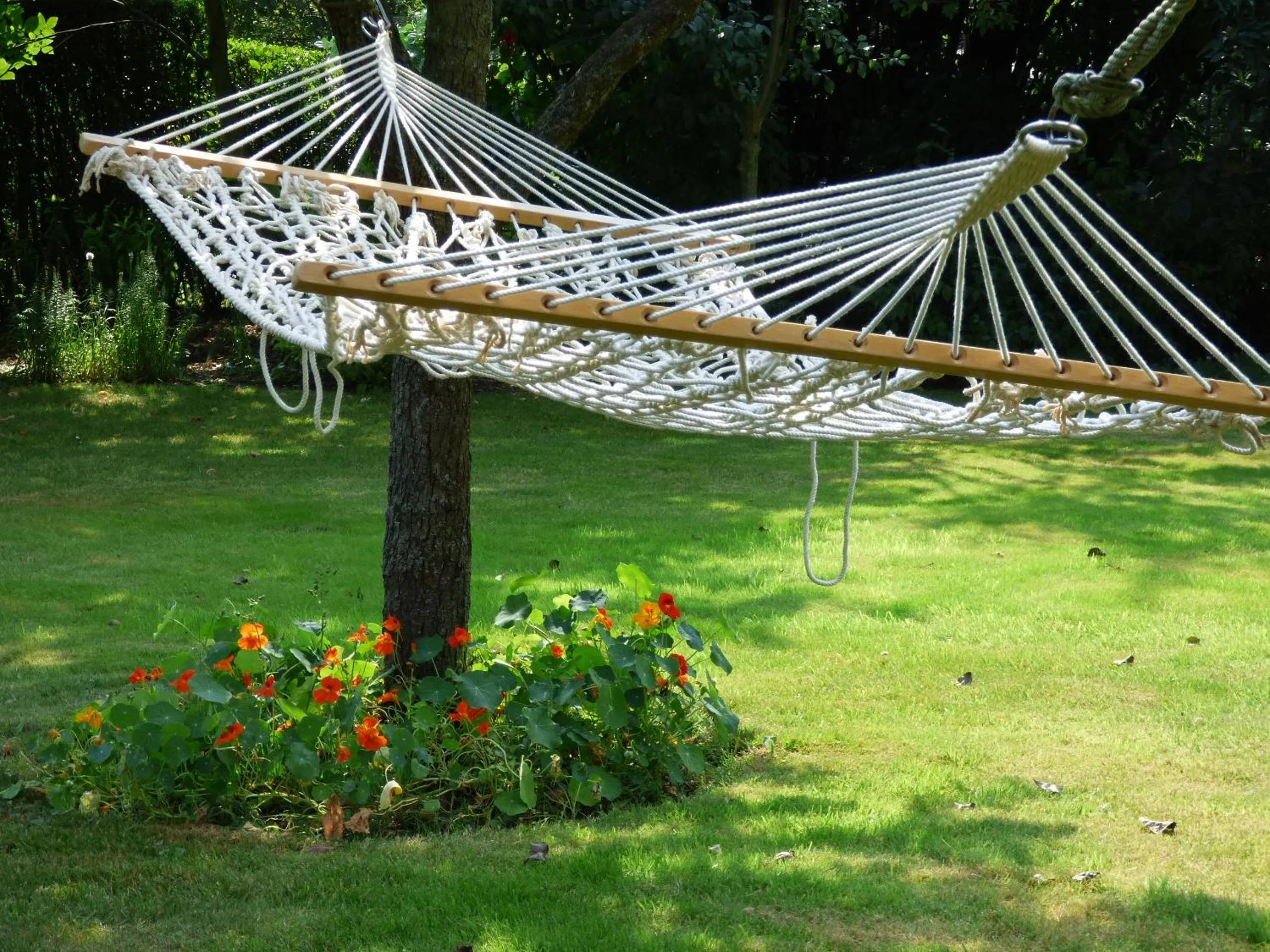 Garden view in B&B Le Jardin d'Epicure