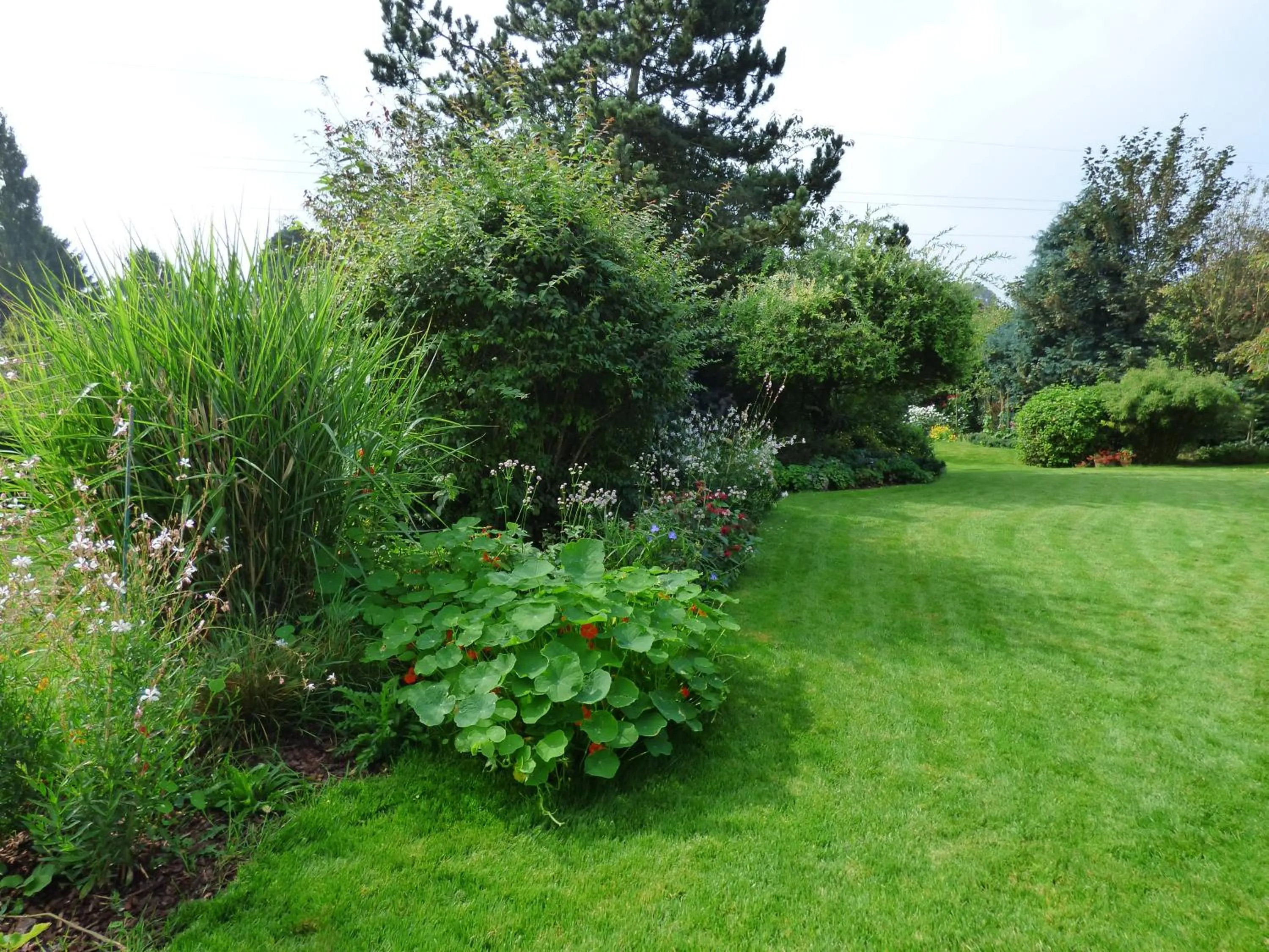 Garden view in B&B Le Jardin d'Epicure