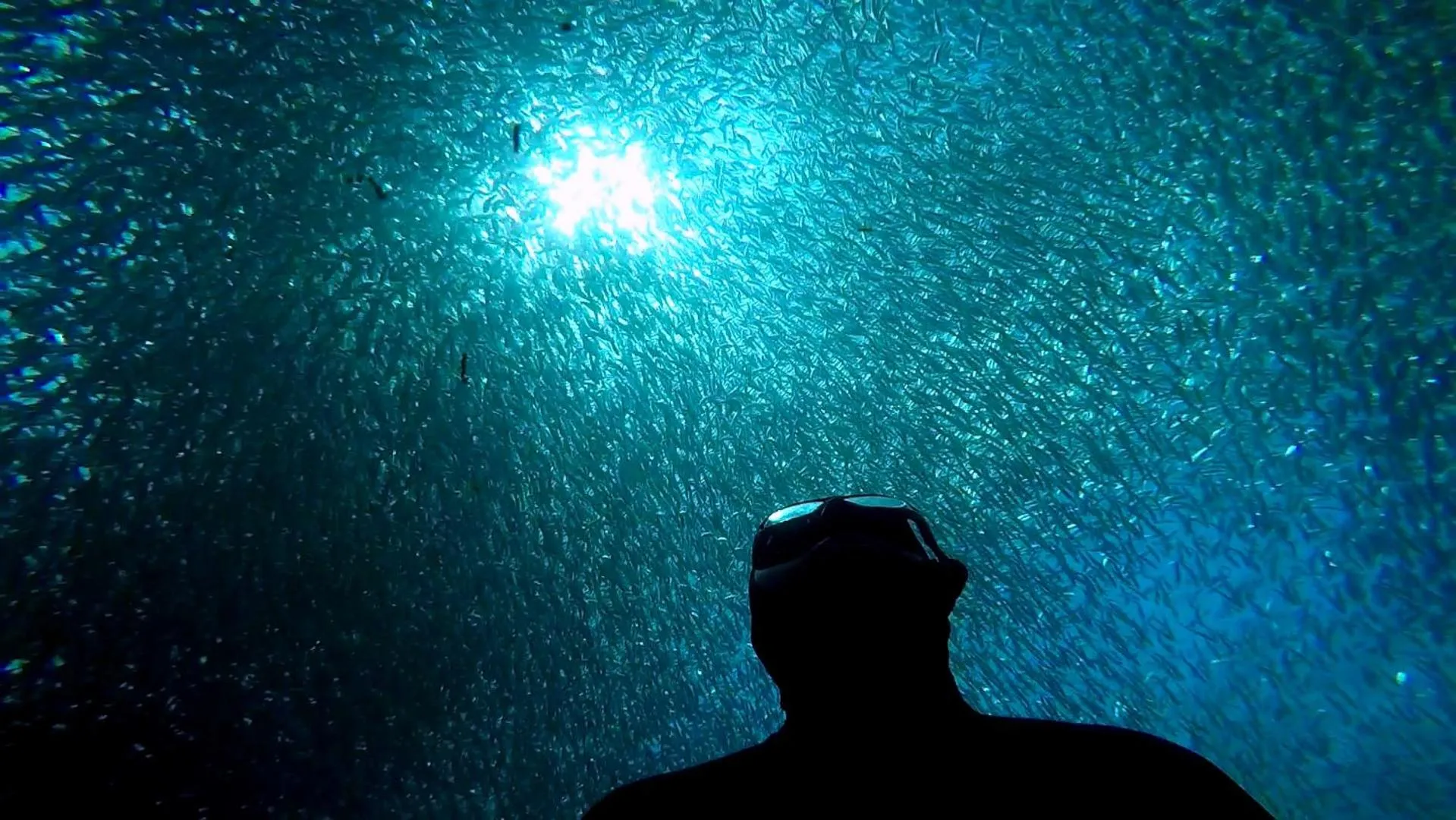 People in Casa de Moalboal