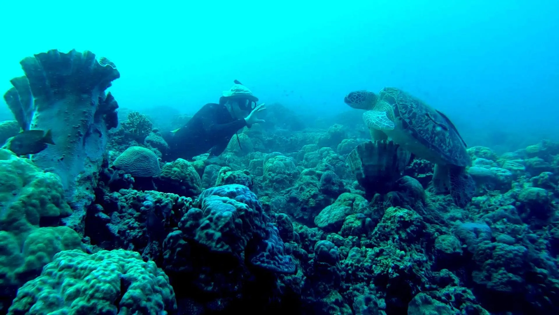 People in Casa de Moalboal