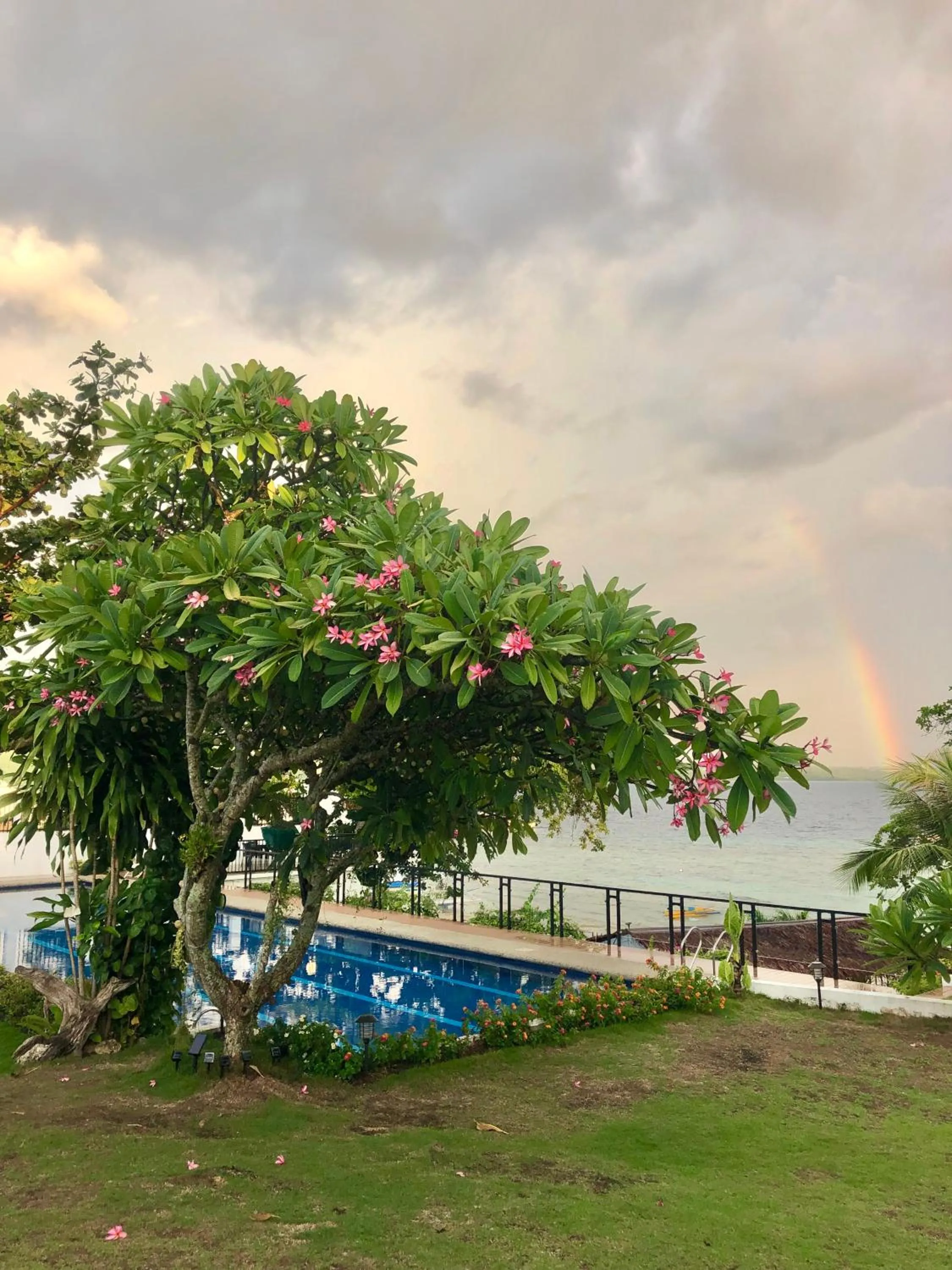 Garden in Casa de Moalboal