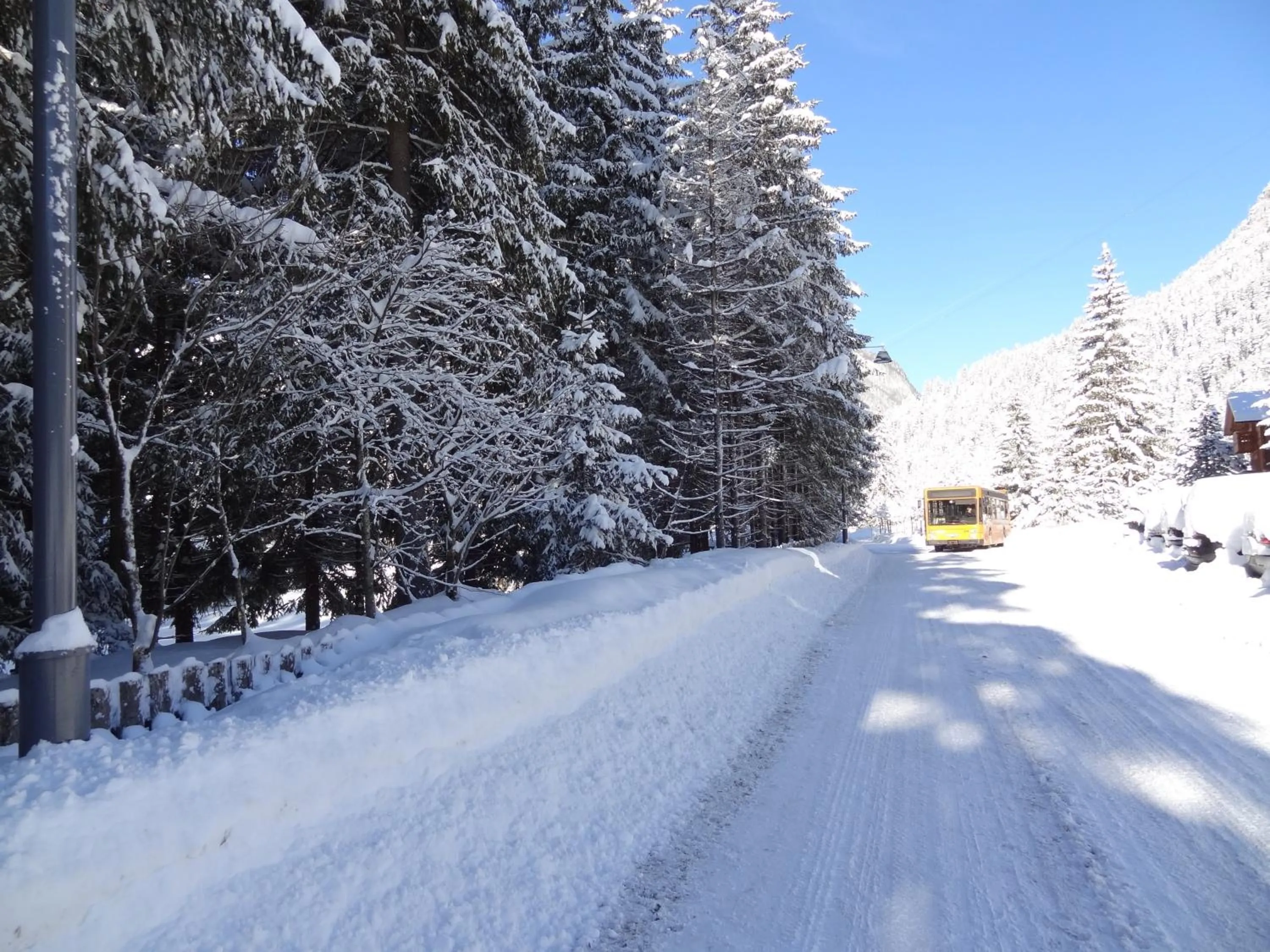 View (from property/room) in Chalet Pineta relax location