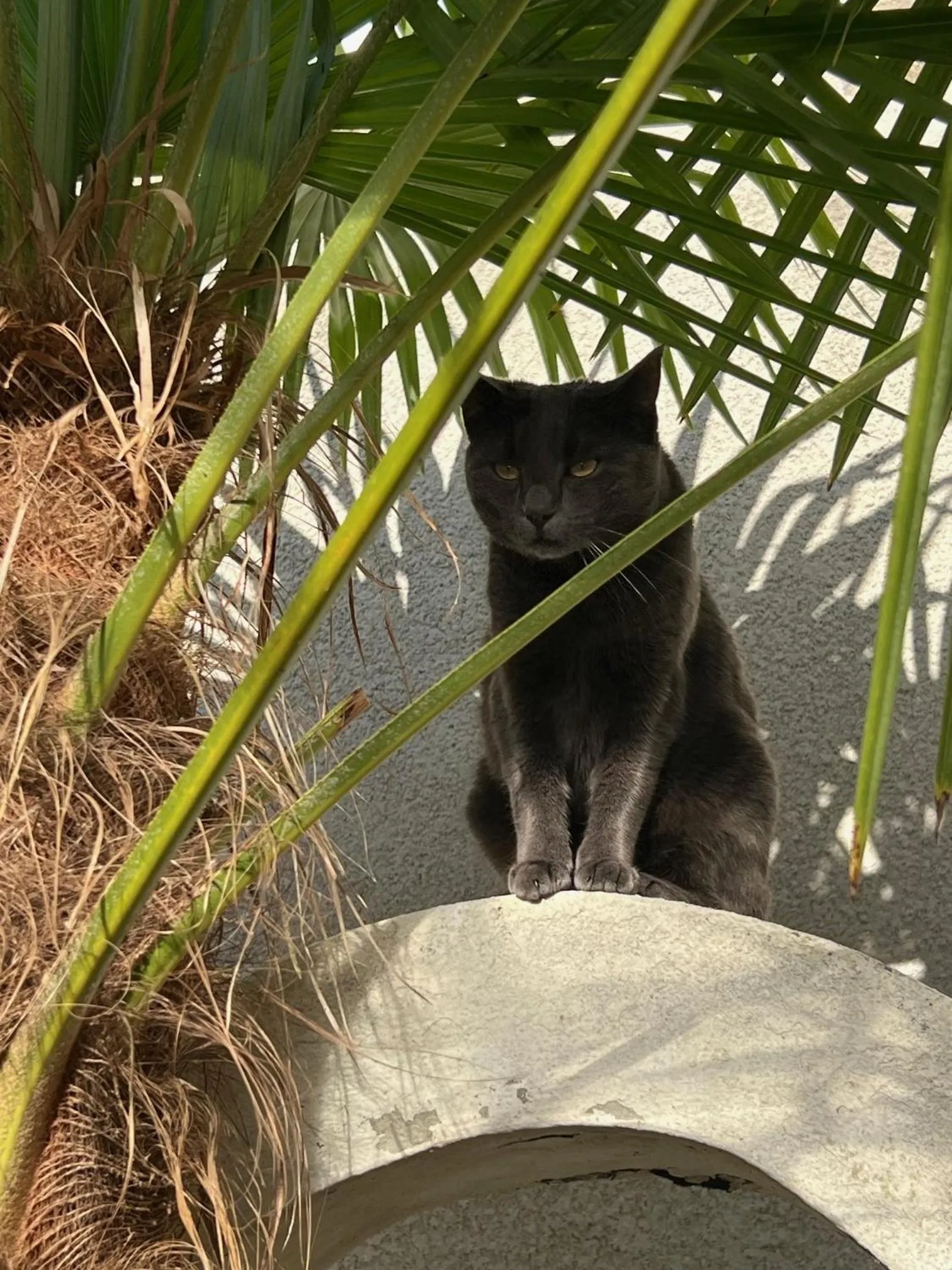 Lobby or reception in Les Tuileries de Chanteloup