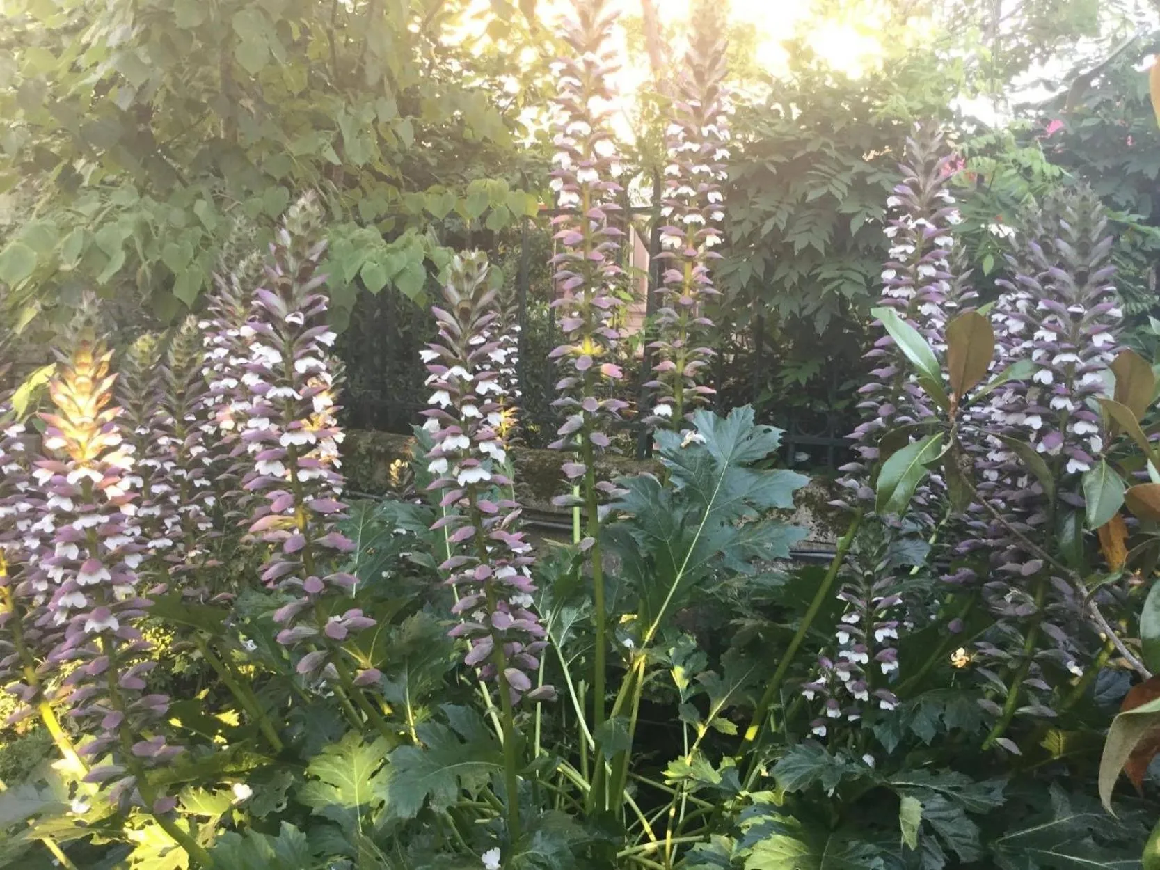 Property building in Les Tuileries de Chanteloup