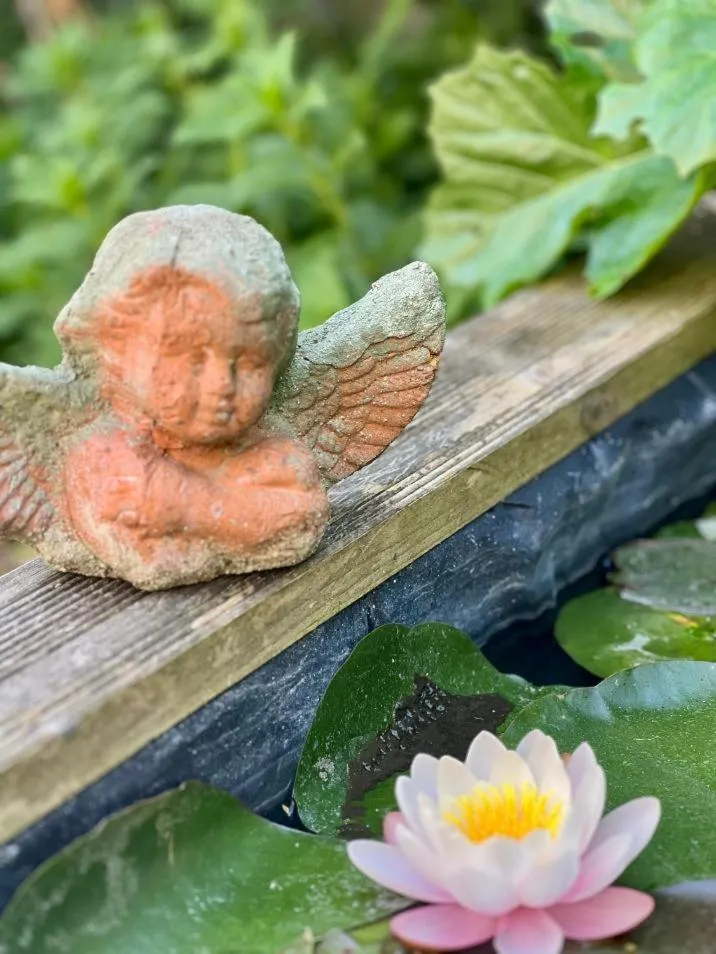 Other in Les Tuileries de Chanteloup