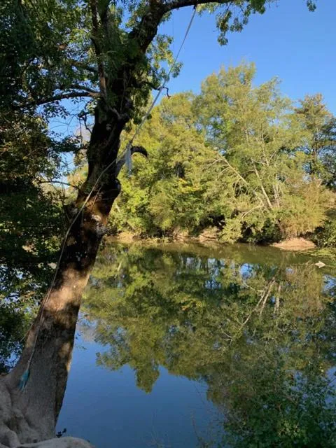 Neighbourhood in Les Tuileries de Chanteloup