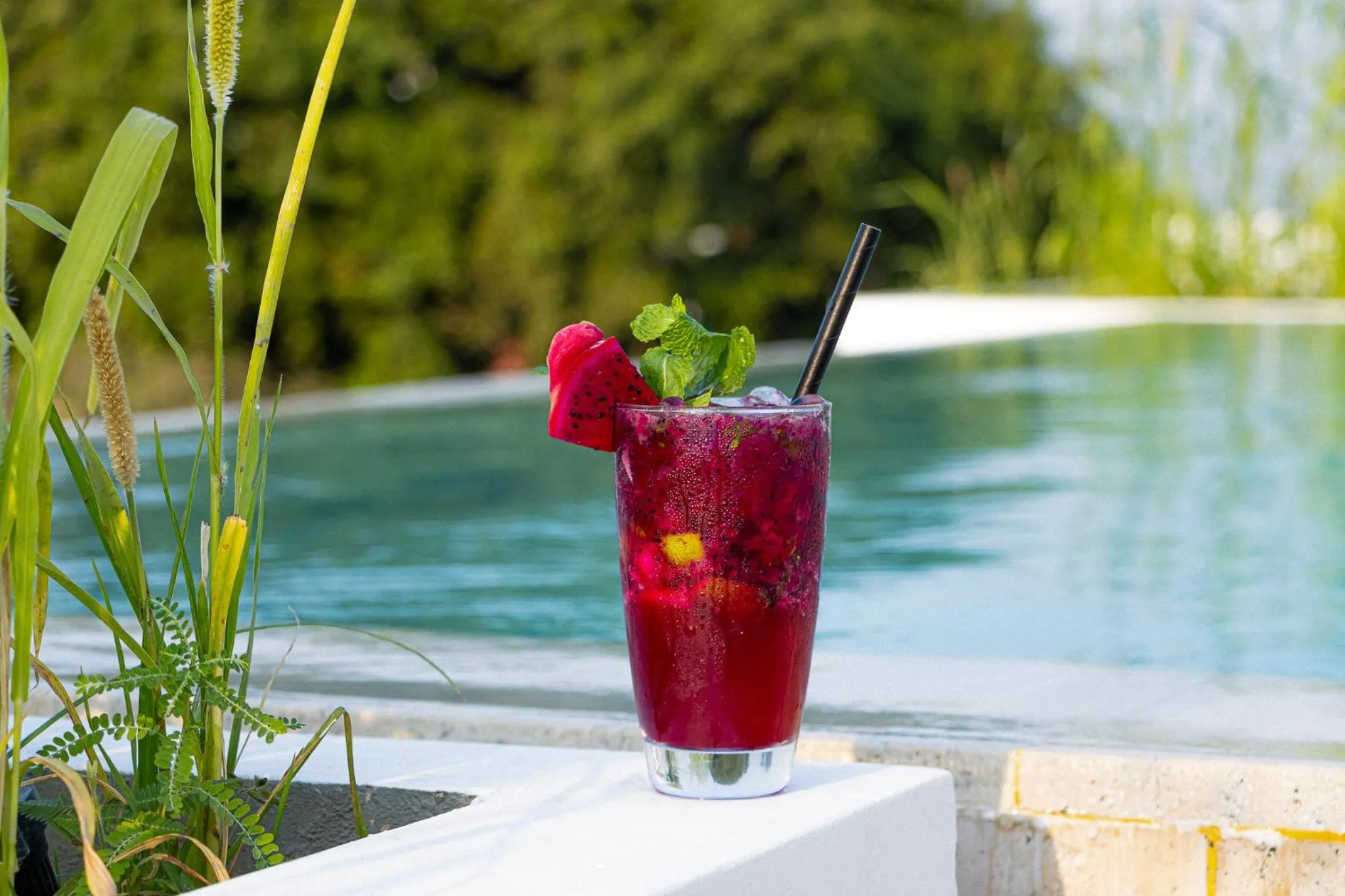 Natural landscape in Penh House Hotel