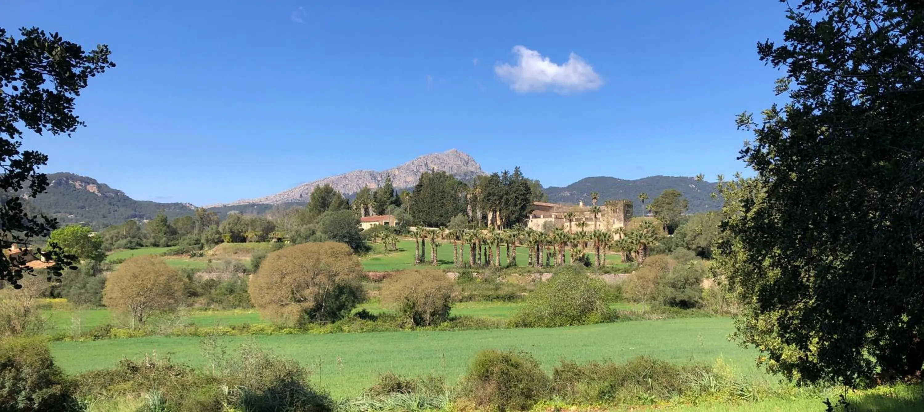 Facade/entrance in Finca Son Pont