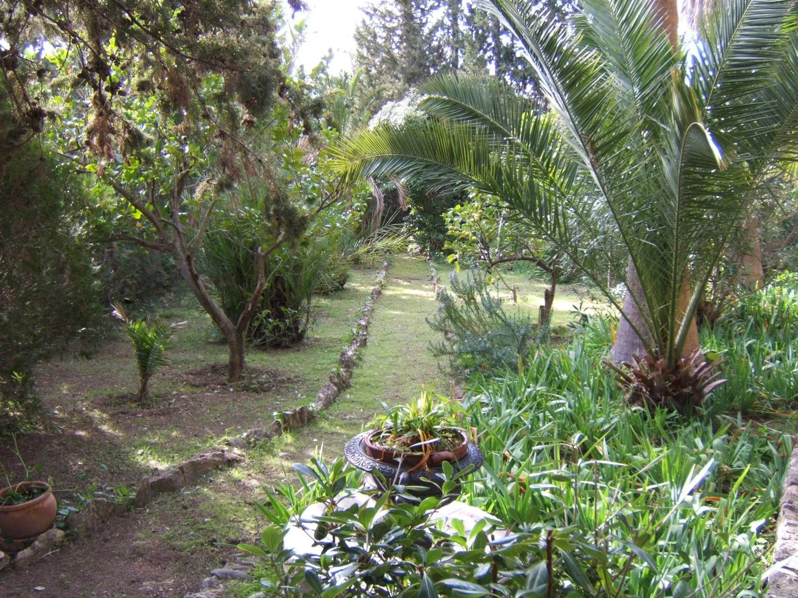 Garden in Finca Son Pont