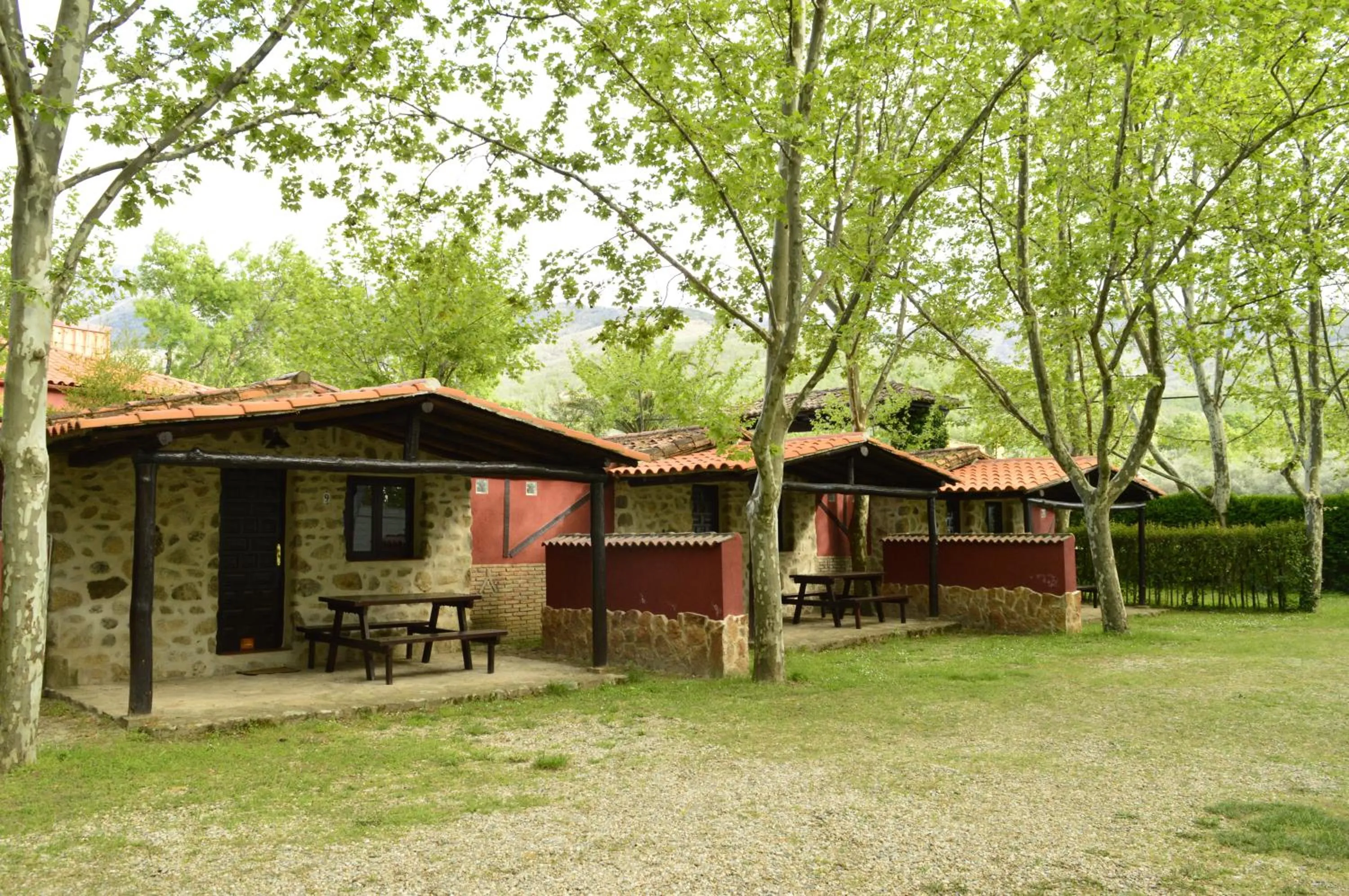 Camping El Pinajarro