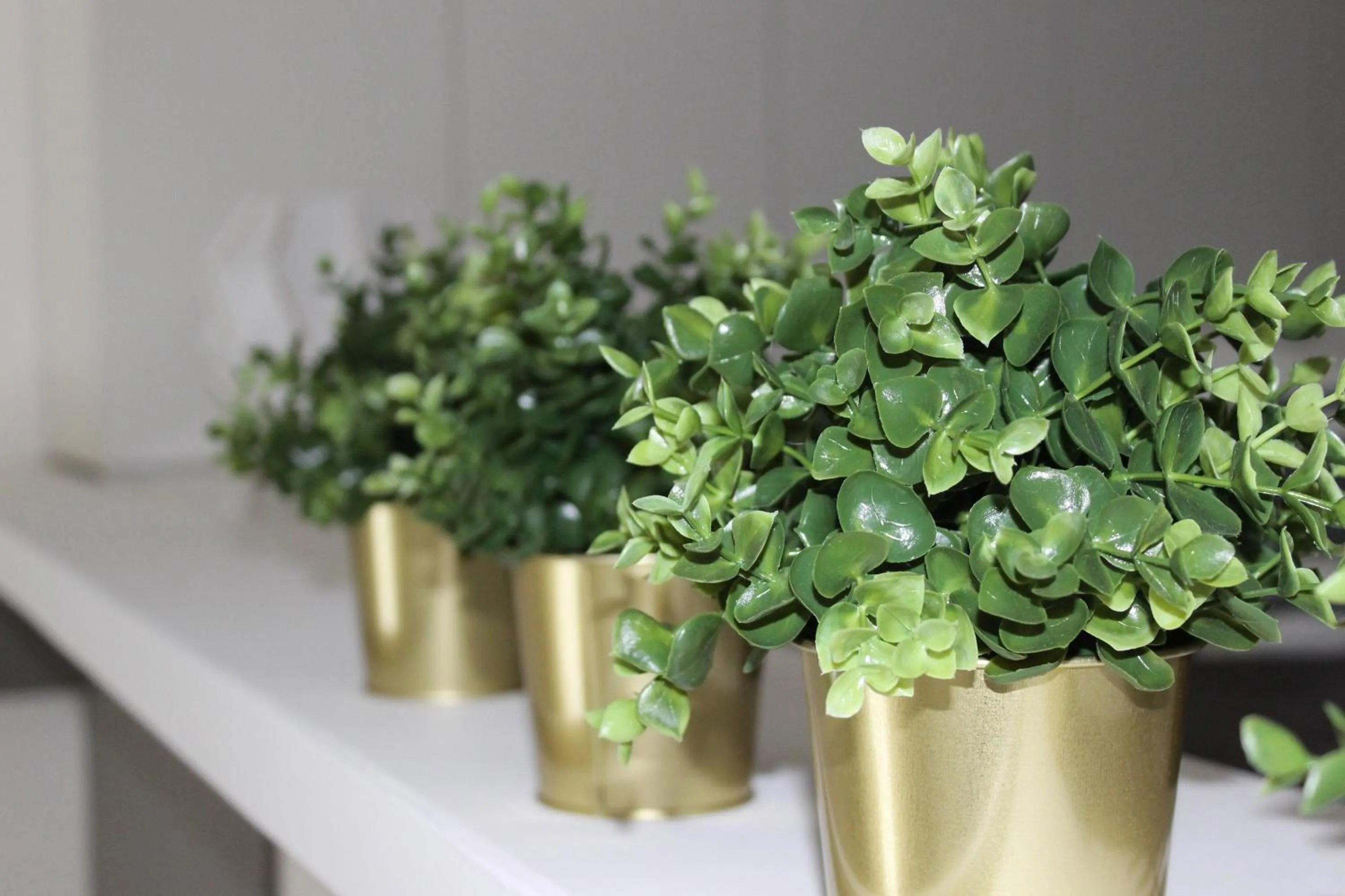 Decorative detail in Casa Di Mamma