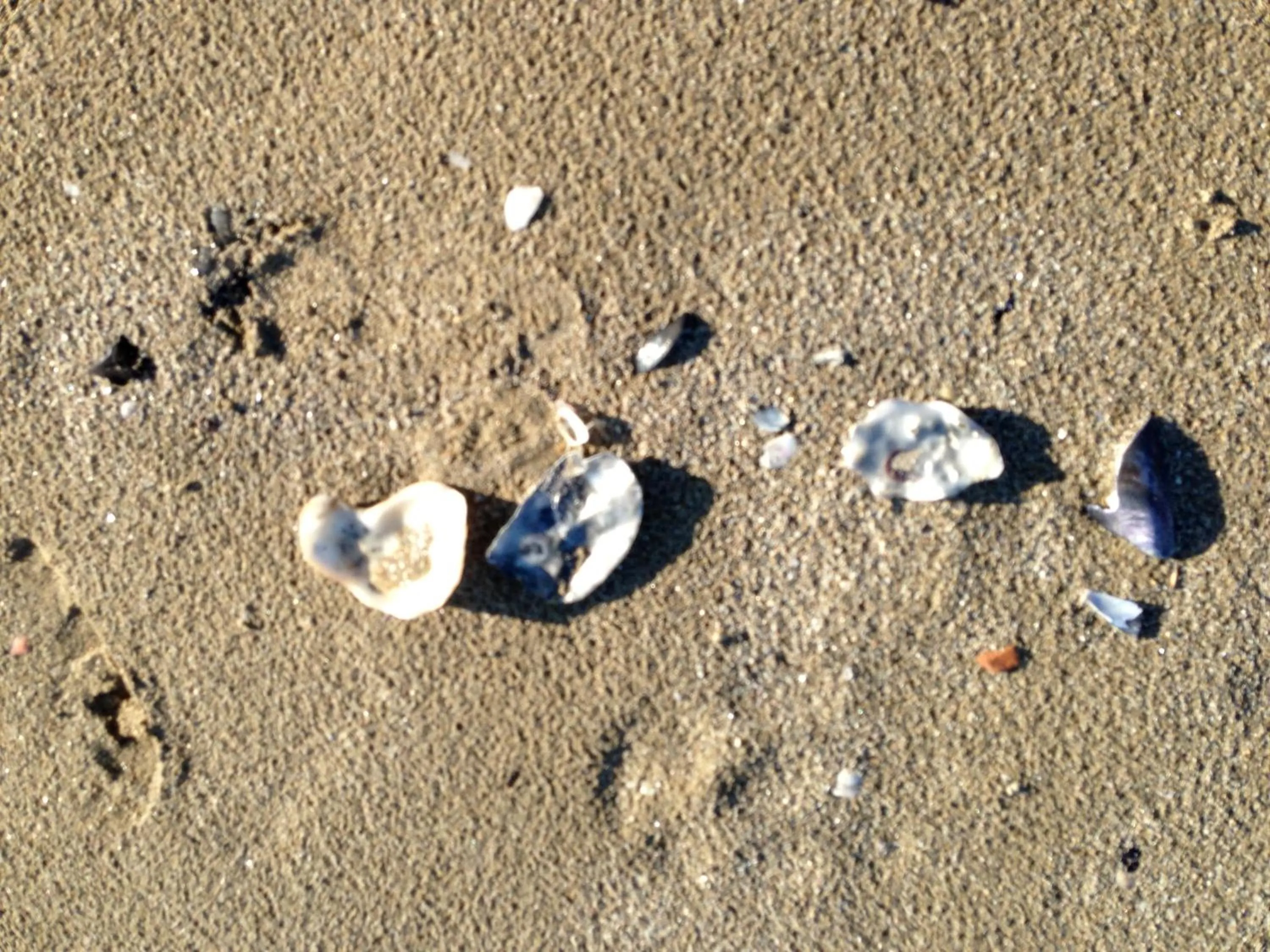 Area and facilities in Hotel Viking