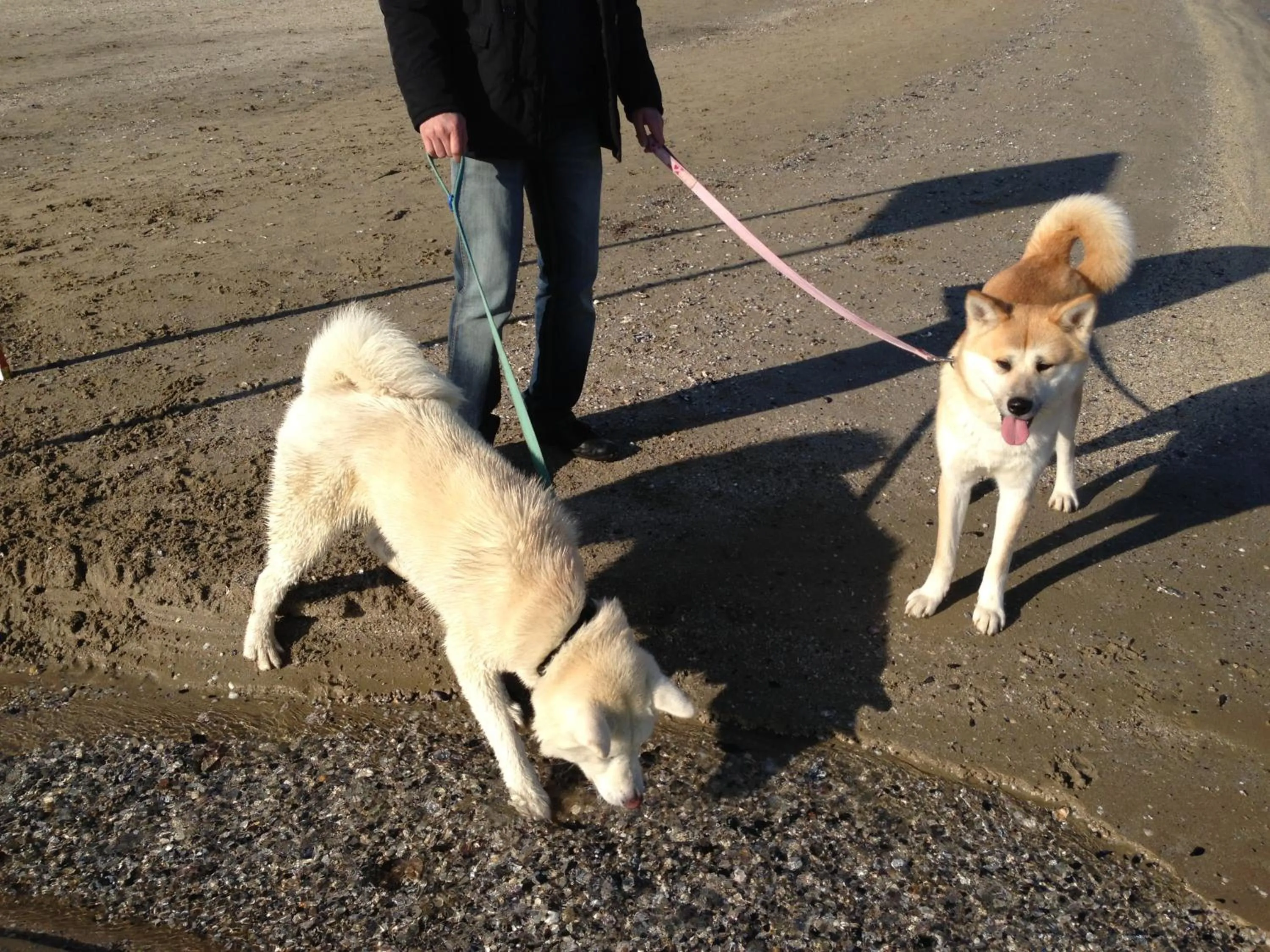 Area and facilities in Hotel Viking