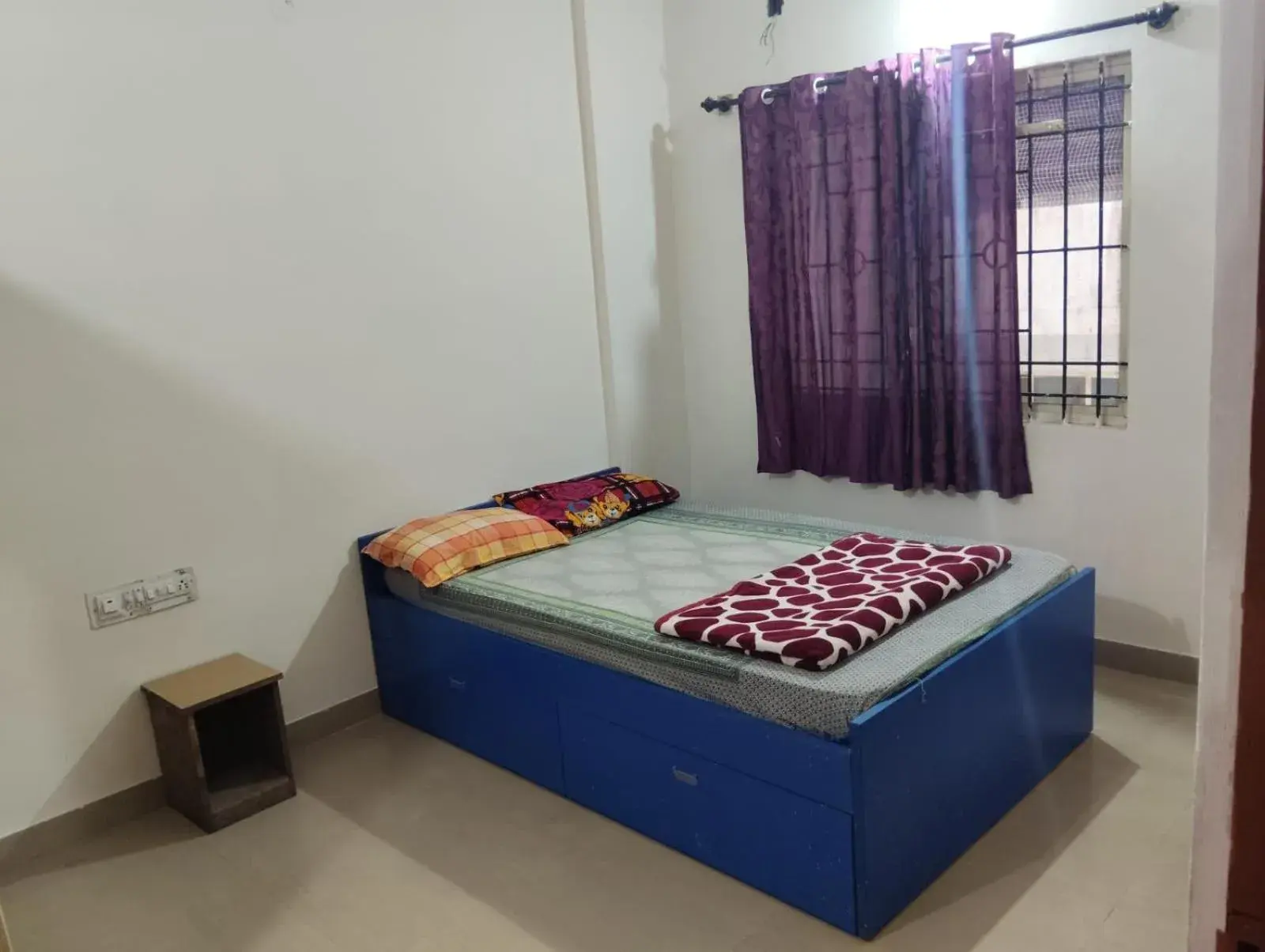 Professionals Pride PG Professionals Pride PG