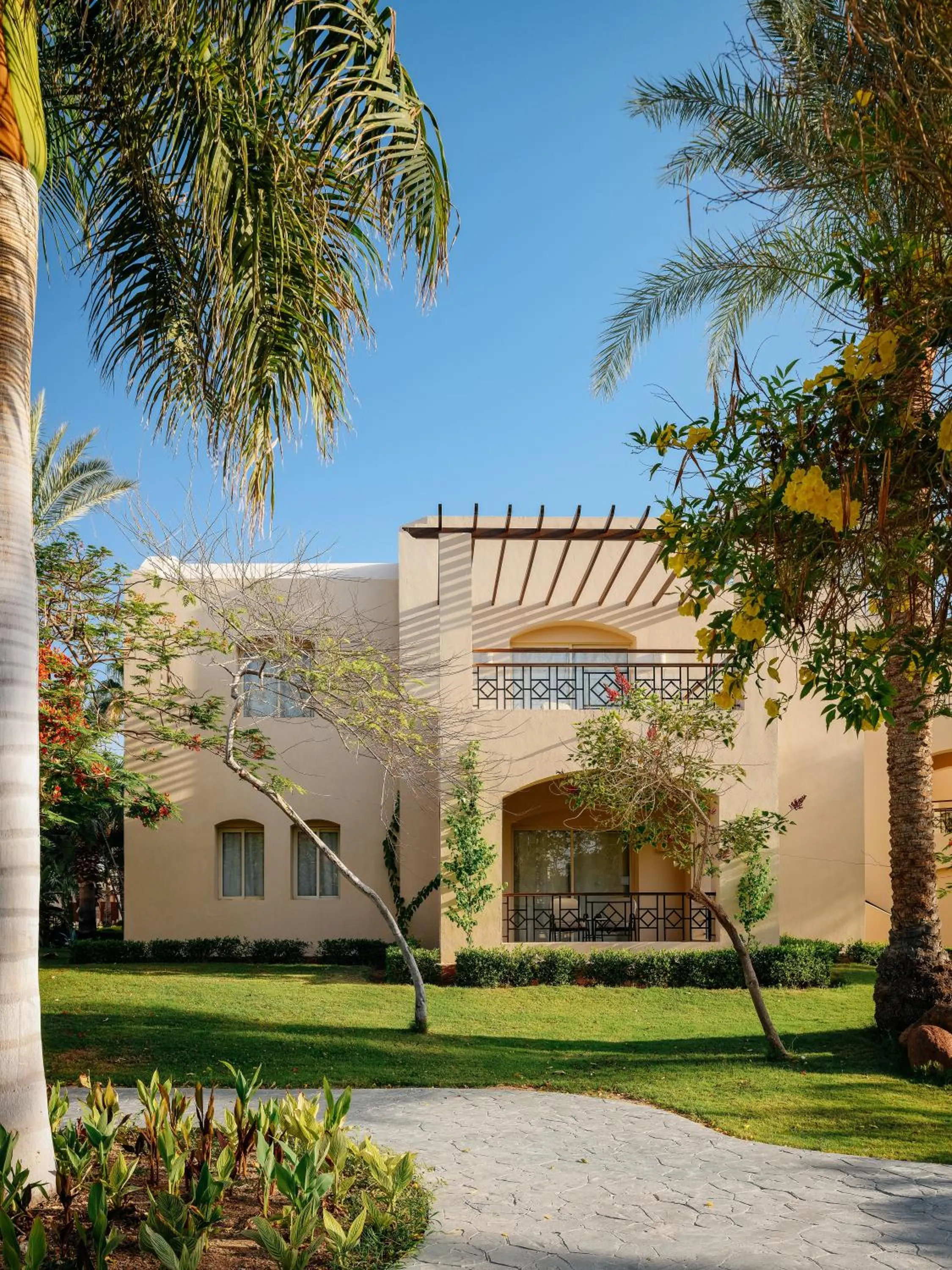 View (from property/room) in TUI MAGIC LIFE Redsina Sharm El Sheikh