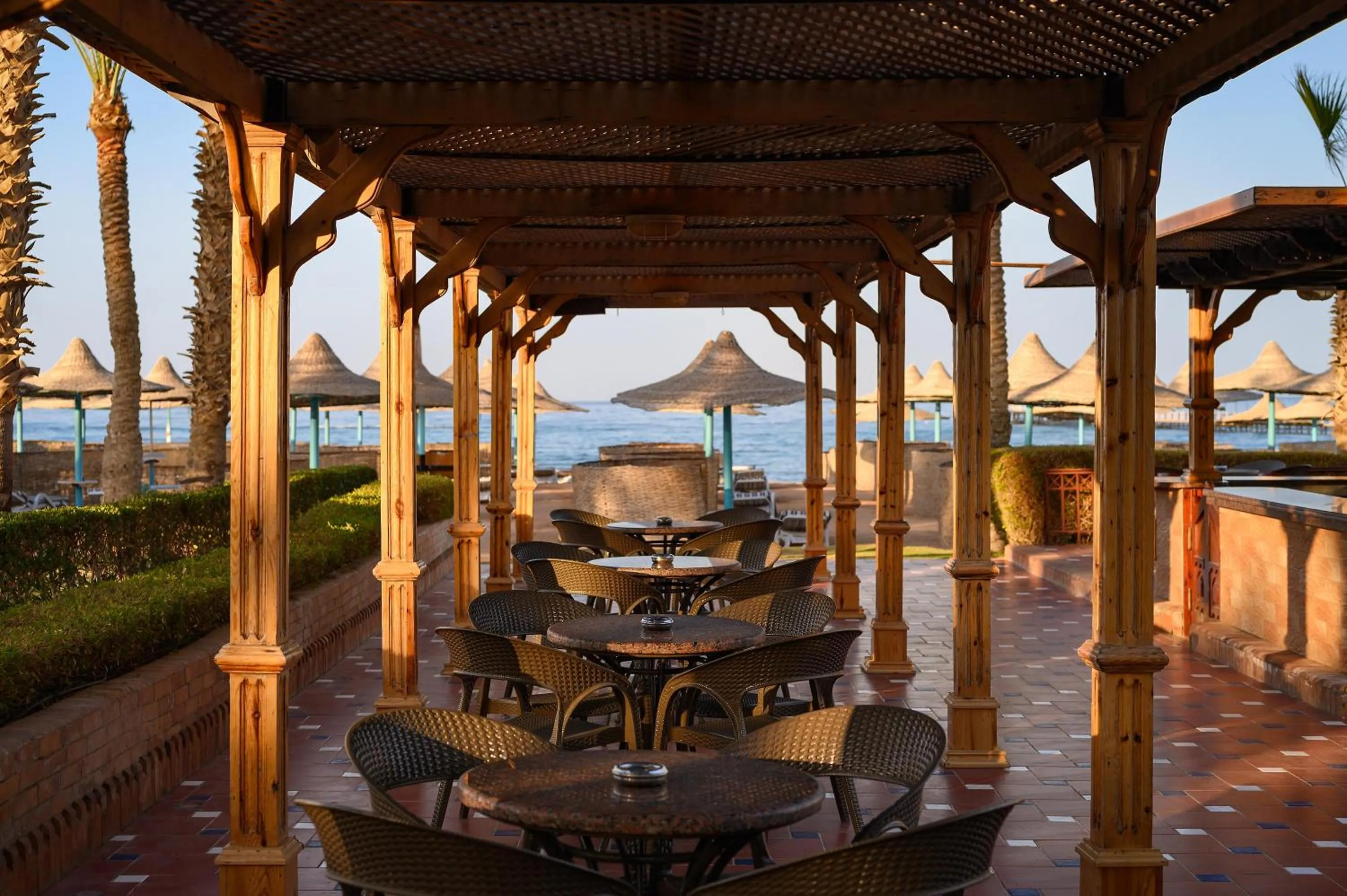 Lounge or bar in TUI MAGIC LIFE Redsina Sharm El Sheikh