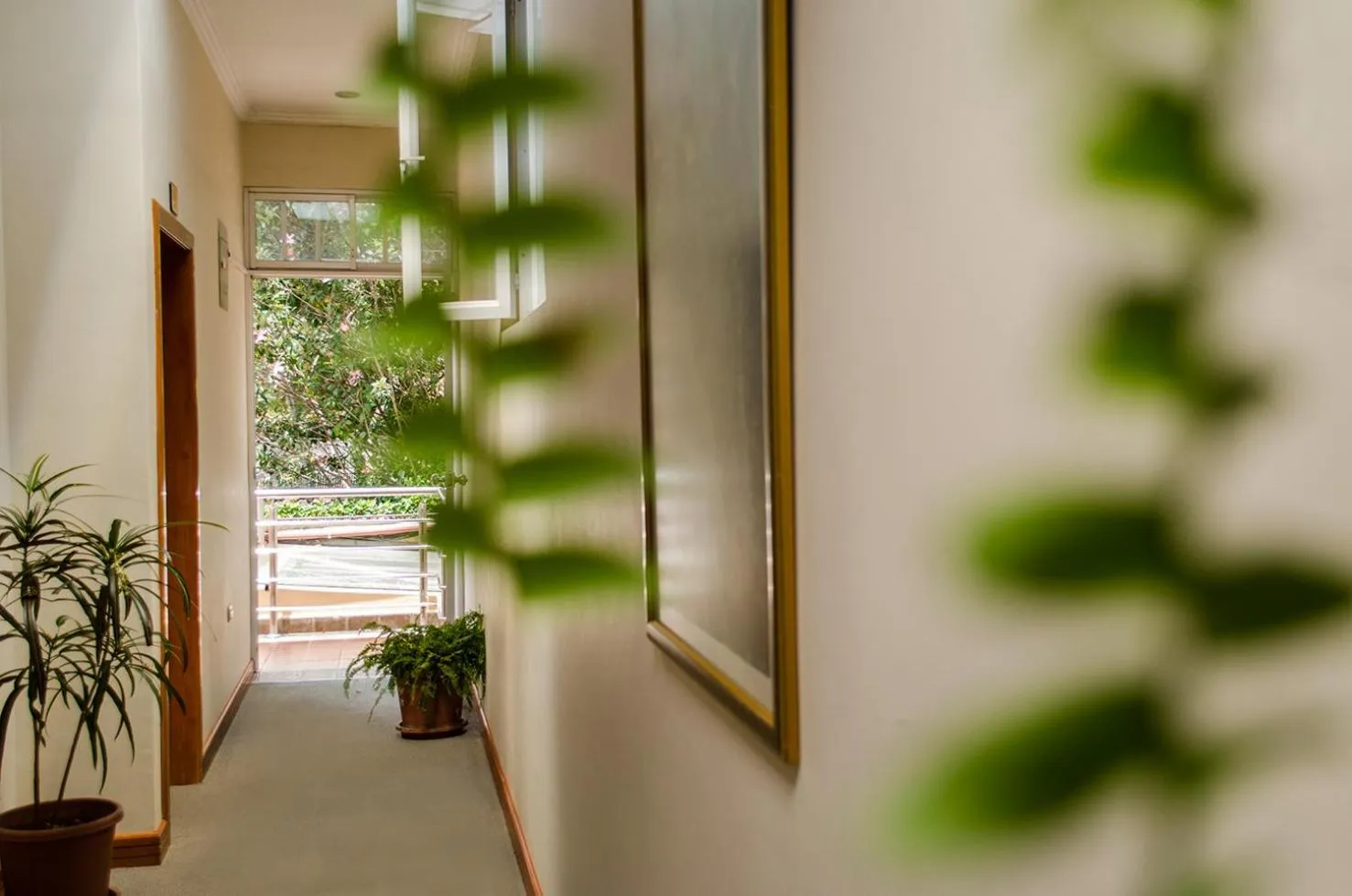 Area and facilities in Hotel La Casona