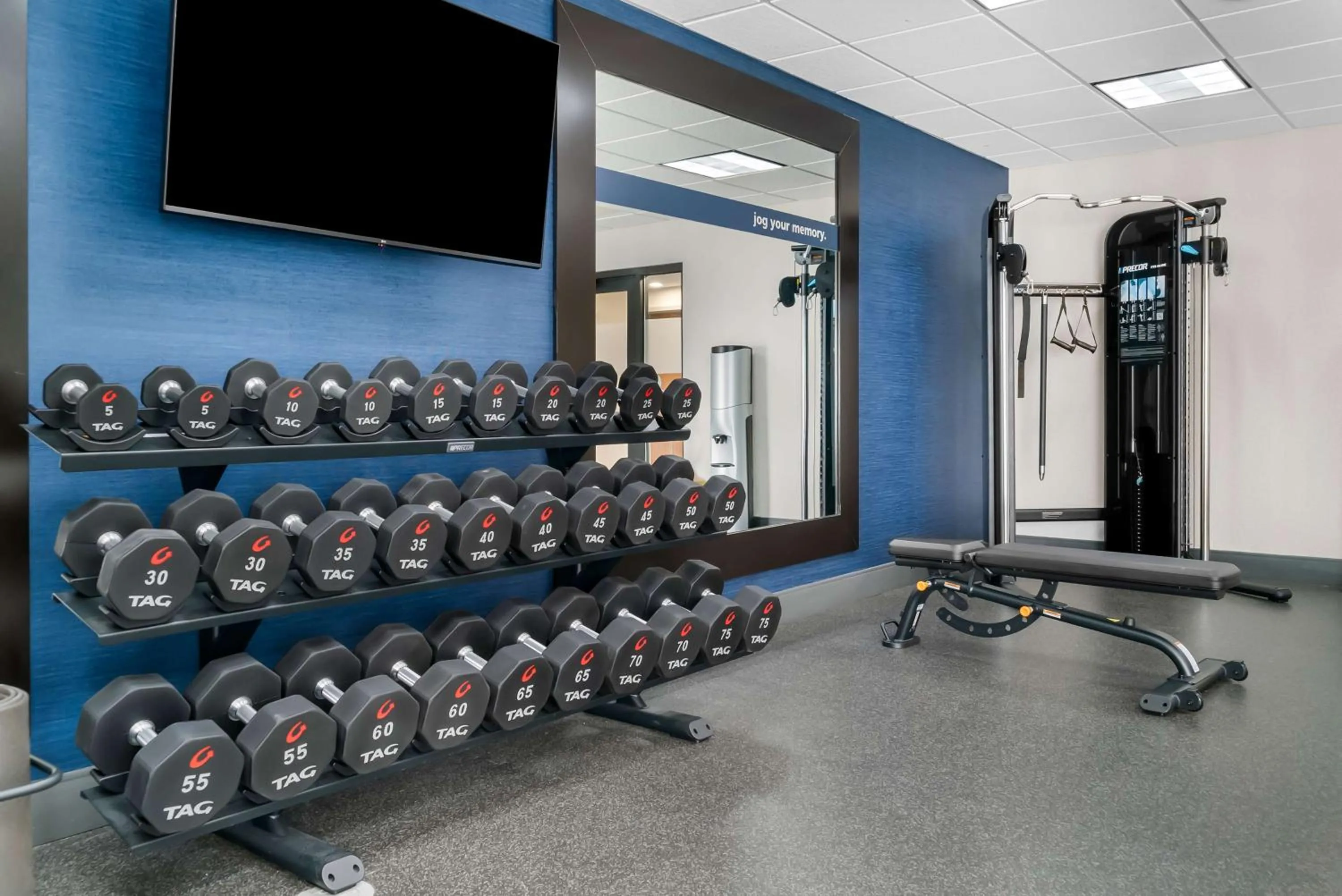 Fitness centre/facilities in Hampton Inn Detroit/Auburn Hills-North