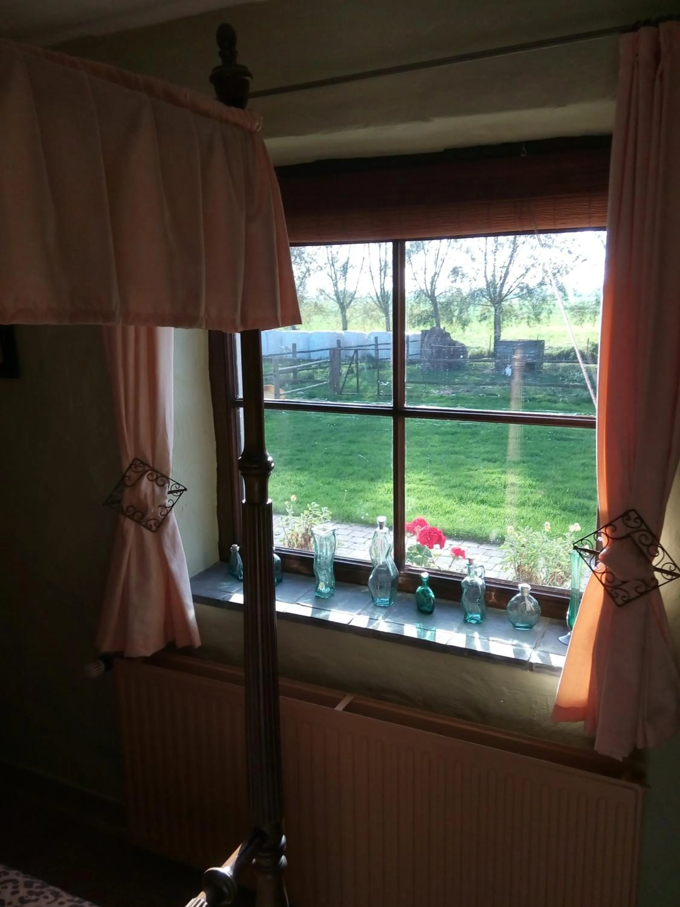 Garden view in B&B Ter Castaigne