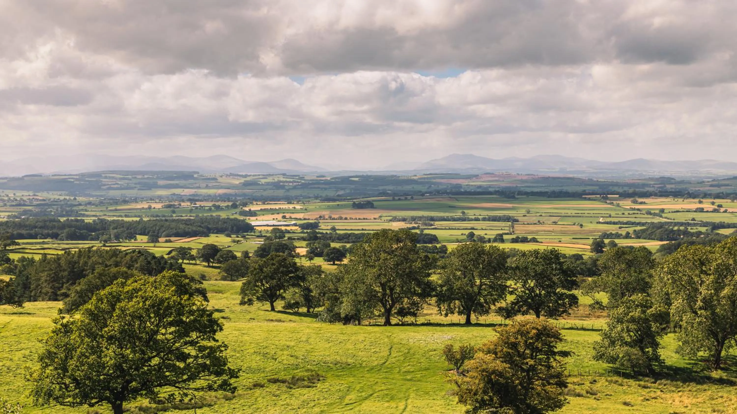 Location in Alston House Hotel