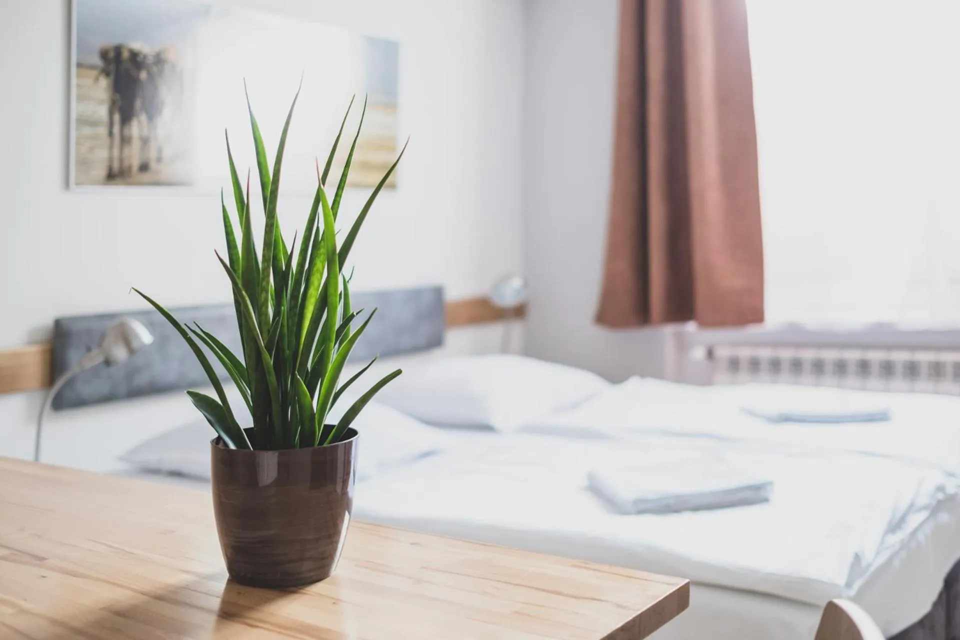 Decorative detail, Bed in Cybulskiego Guest Rooms