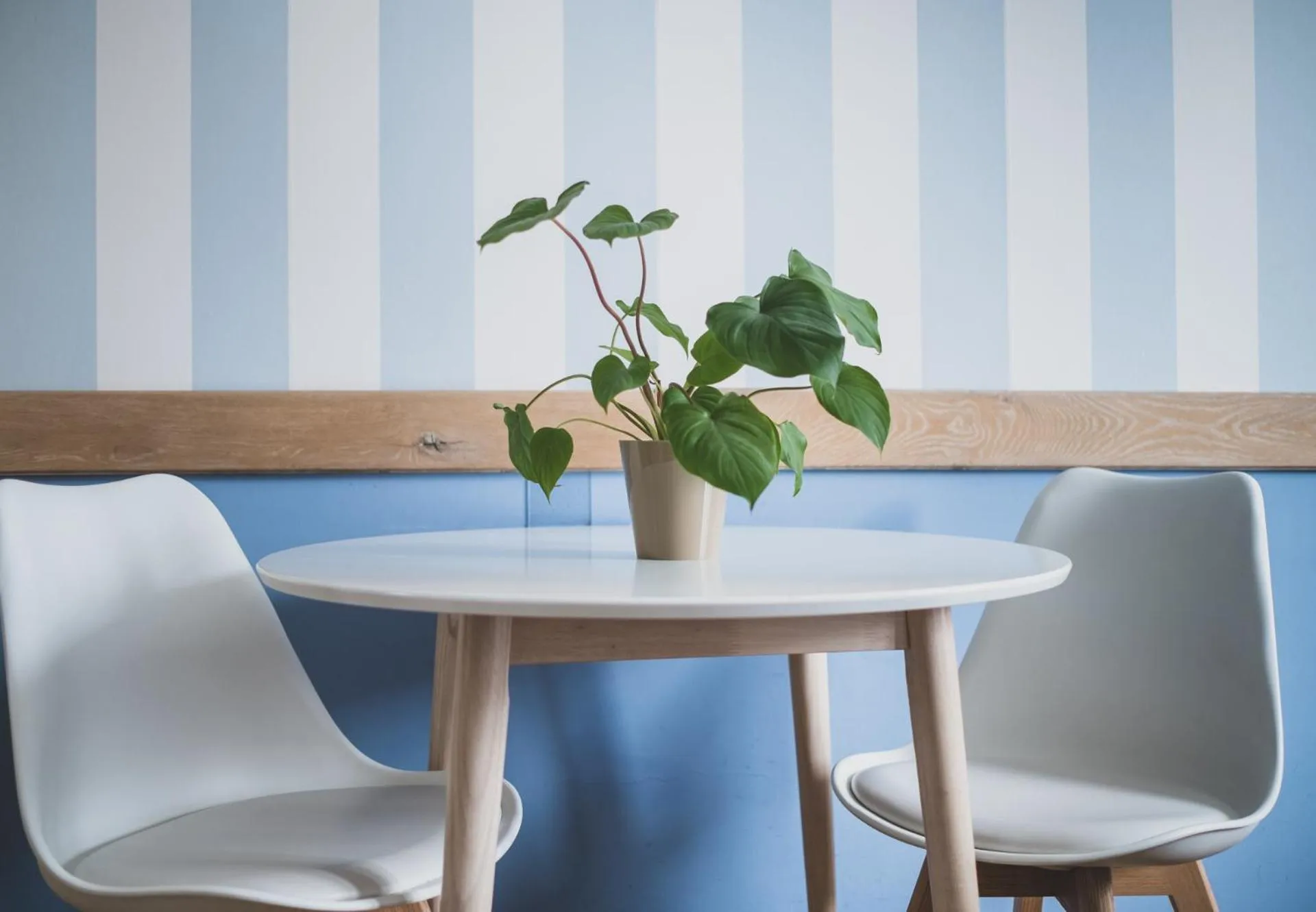 Photo of the whole room in Cybulskiego Guest Rooms