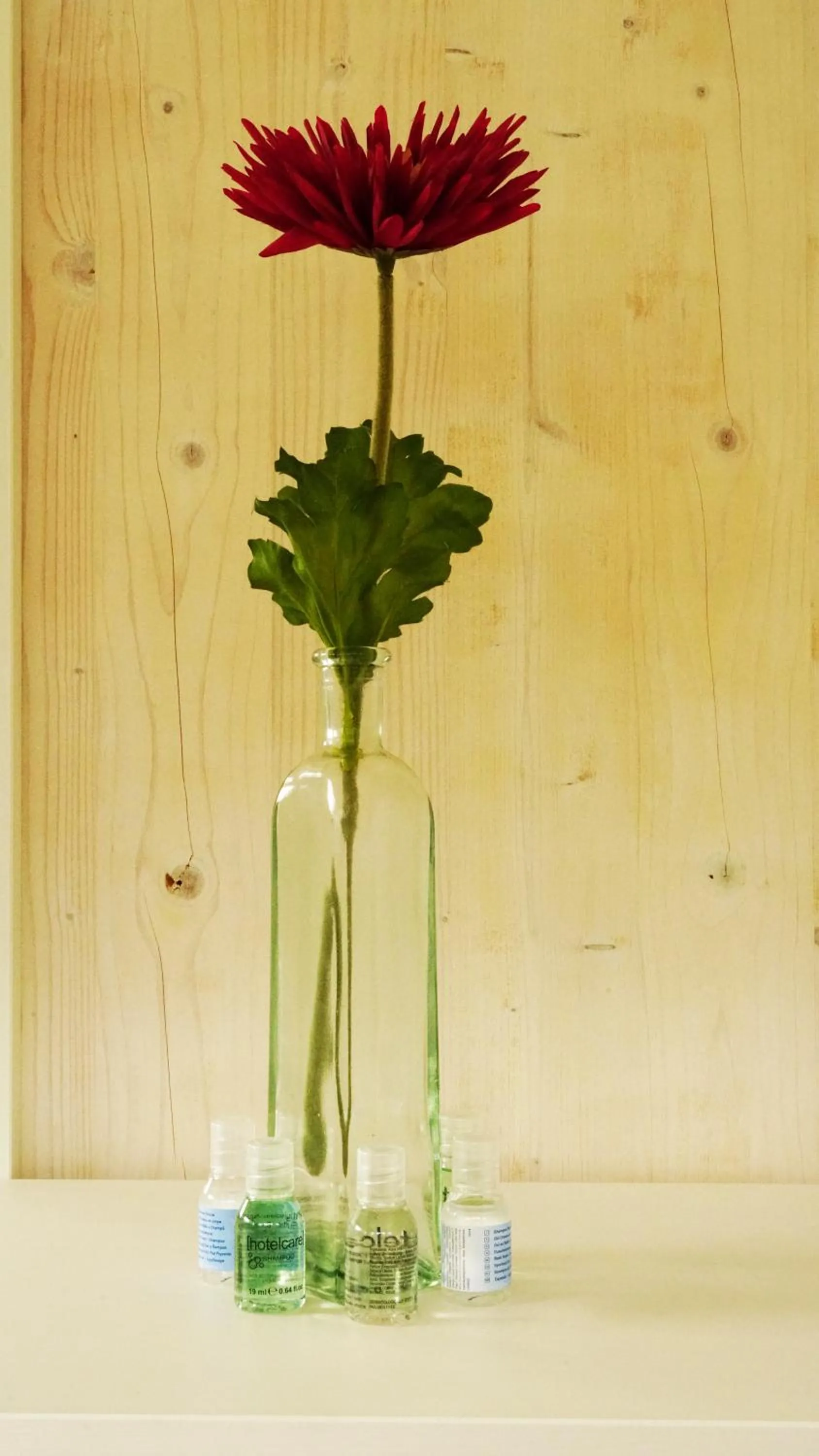 Other in Adventure Hostel Interlaken